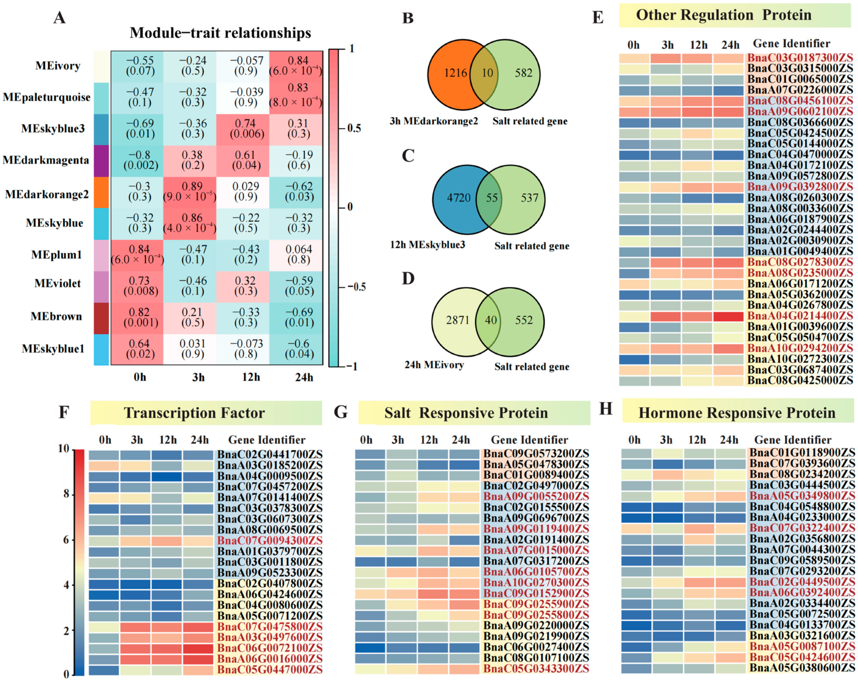 Plants 14 02418 g004