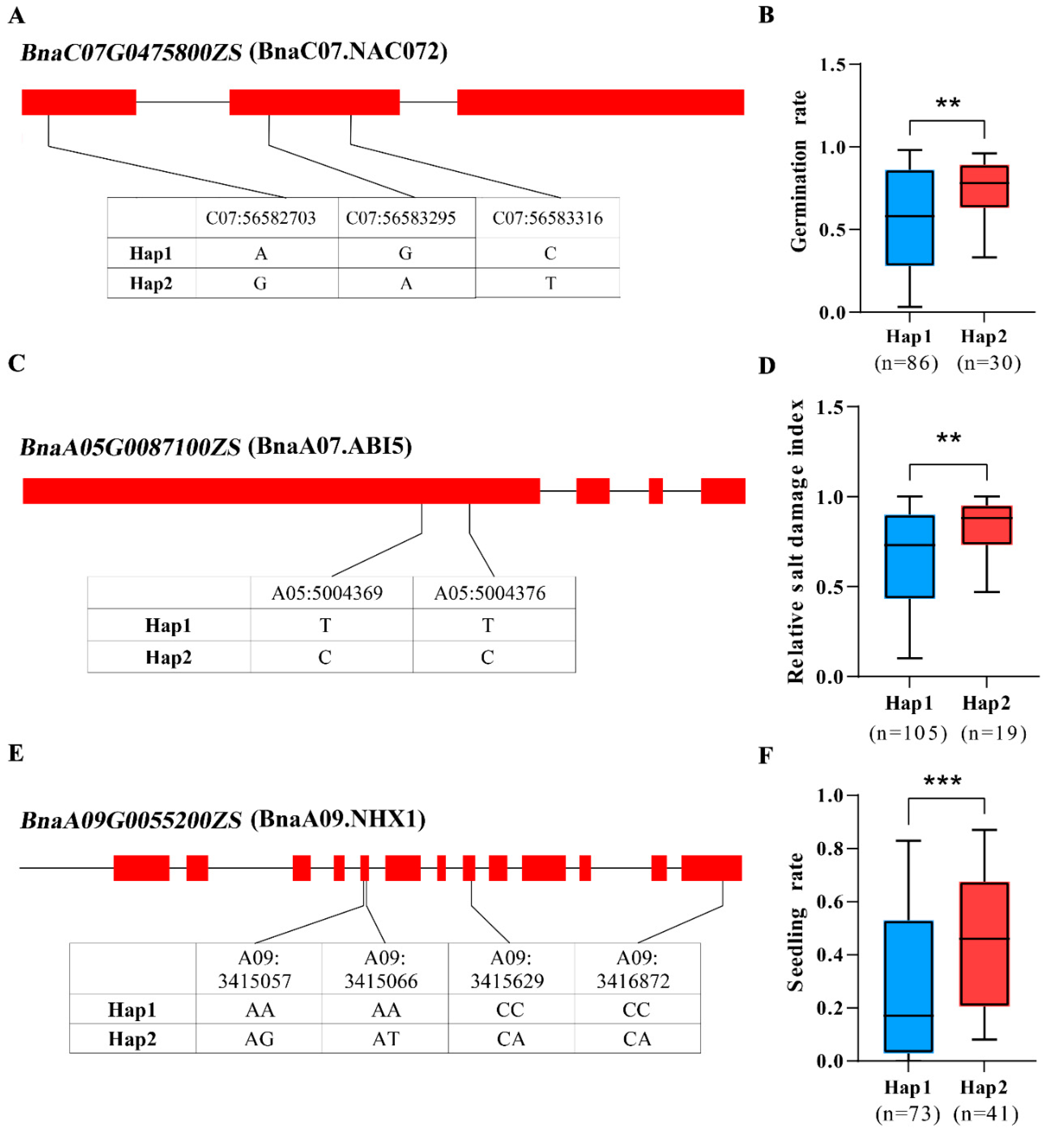 Plants 14 02418 g005