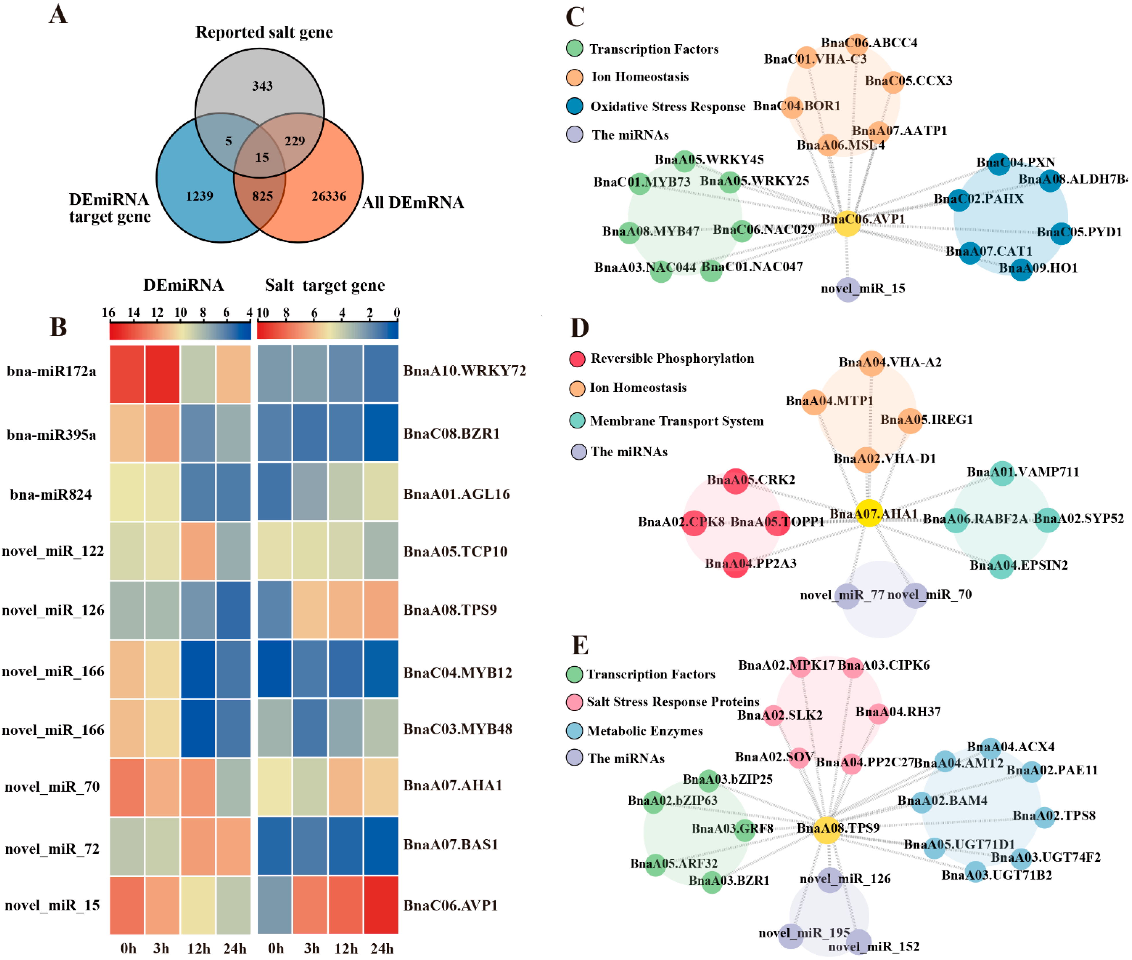 Plants 14 02418 g007