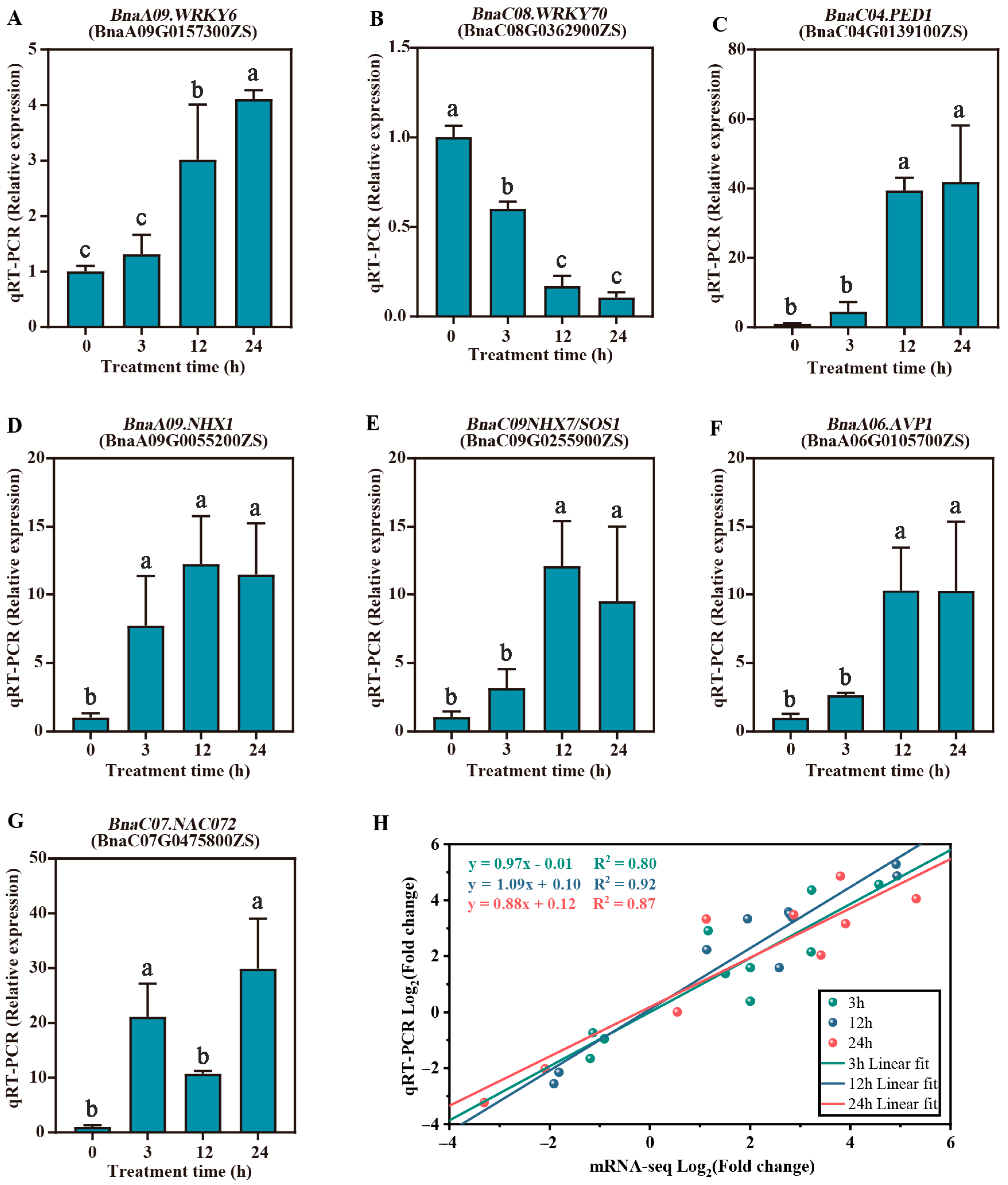 Plants 14 02418 g008