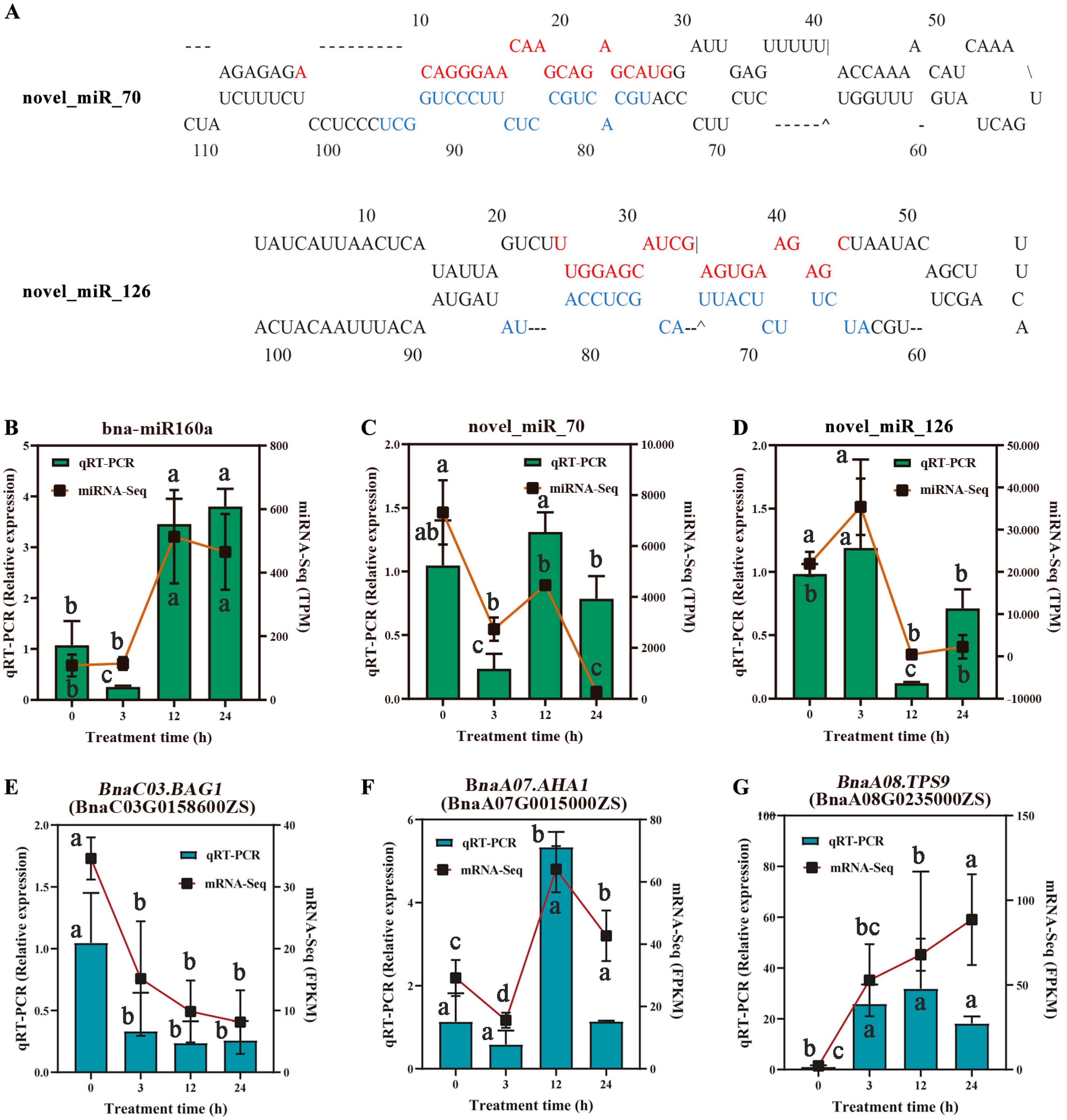Plants 14 02418 g009