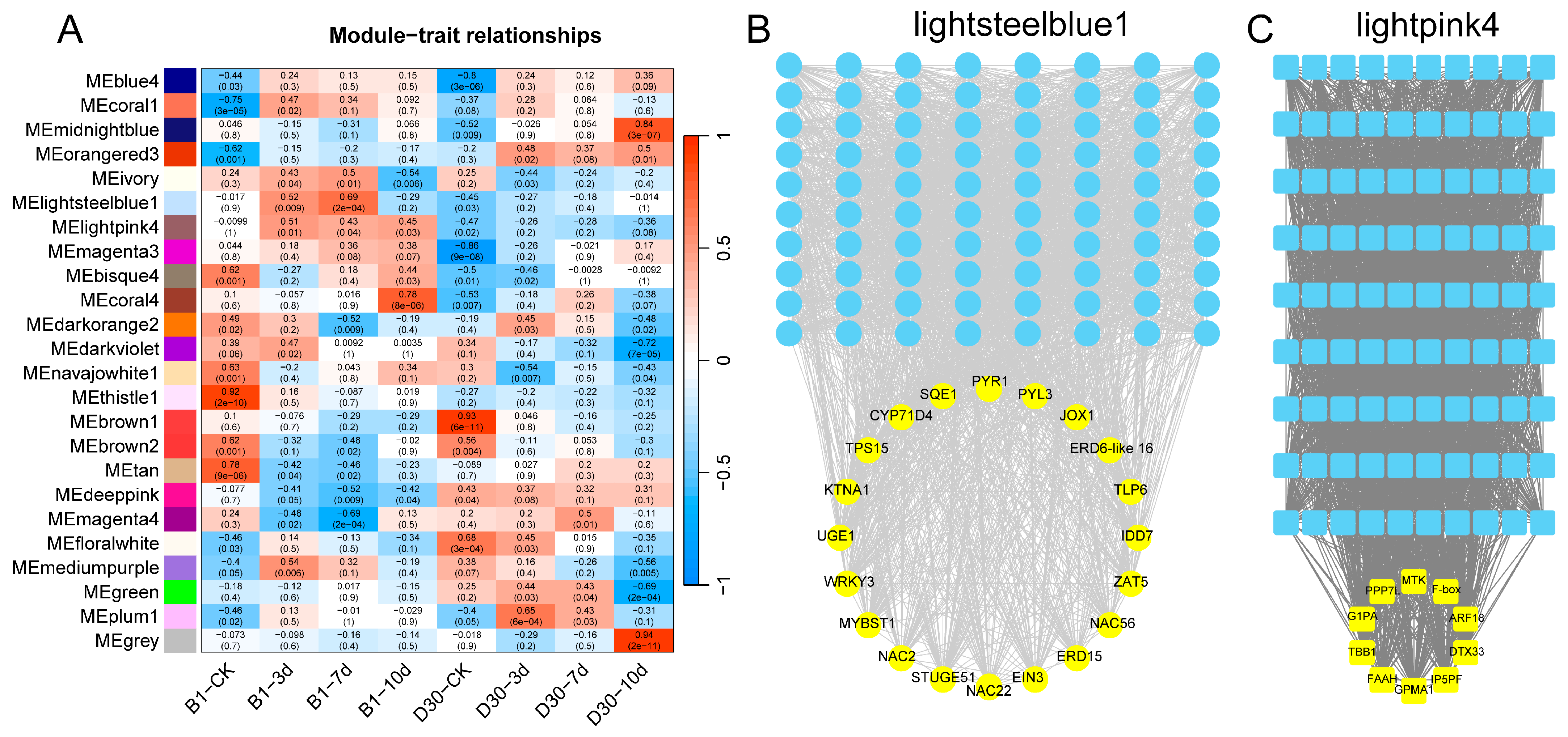 Plants 14 02422 g005 Plants 14 02422 g005