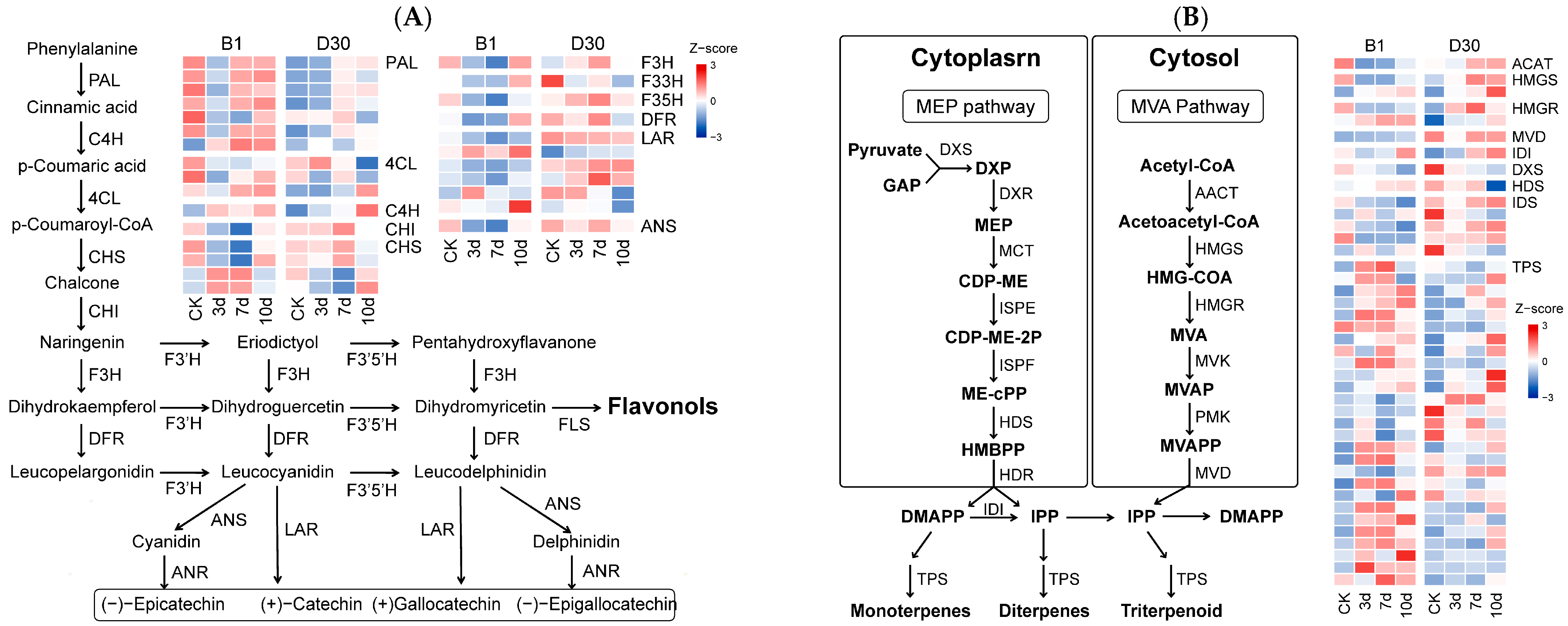 Plants 14 02422 g006 Plants 14 02422 g006