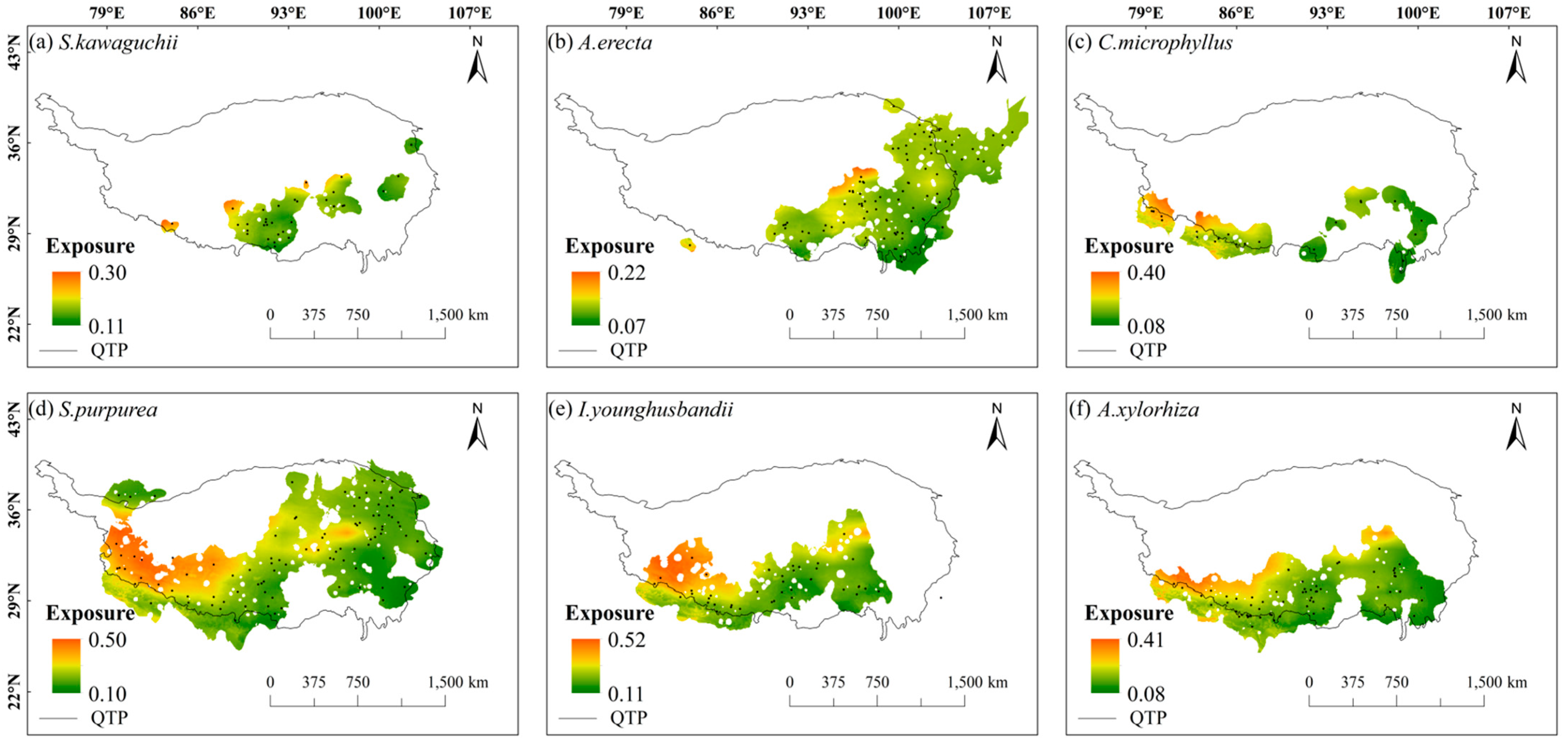 Plants 14 02424 g003 Plants 14 02424 g003