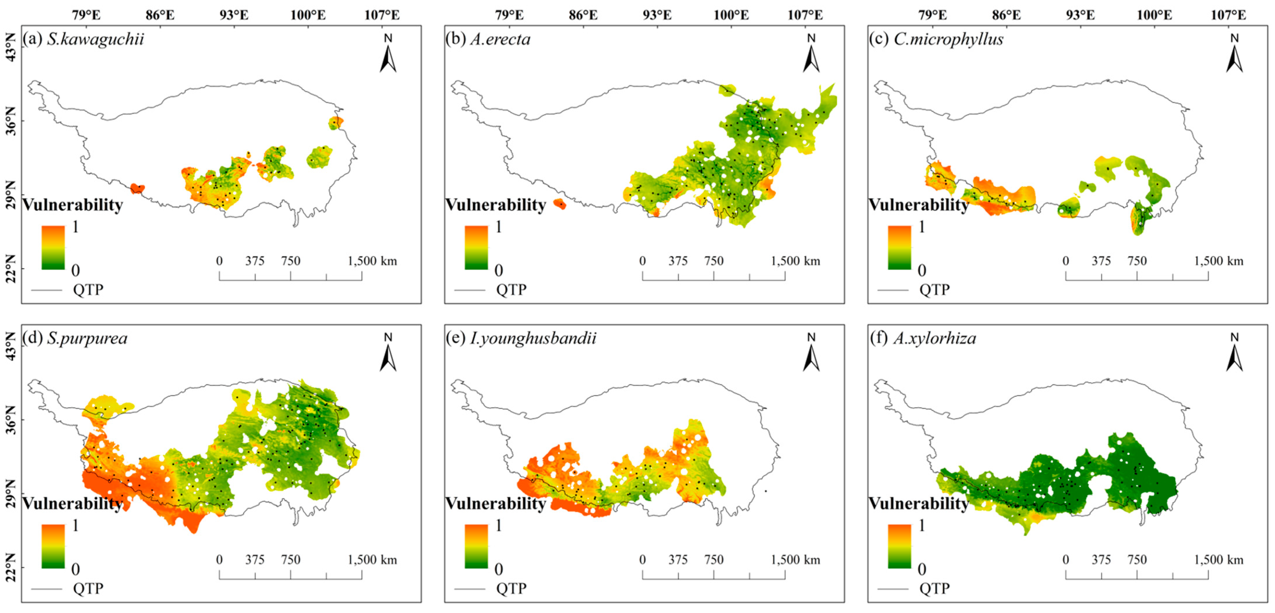 Plants 14 02424 g004 Plants 14 02424 g004