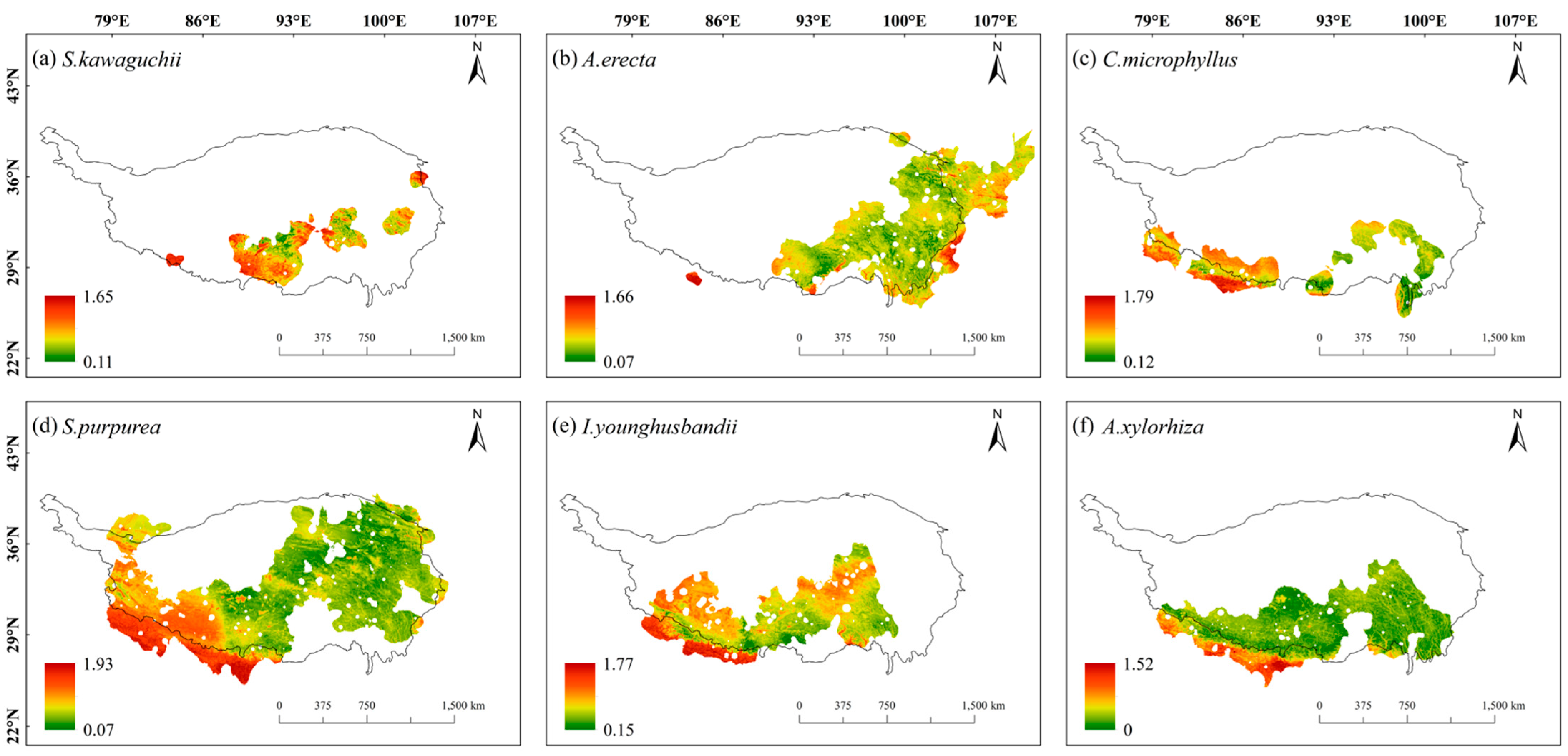 Plants 14 02424 g006 Plants 14 02424 g006