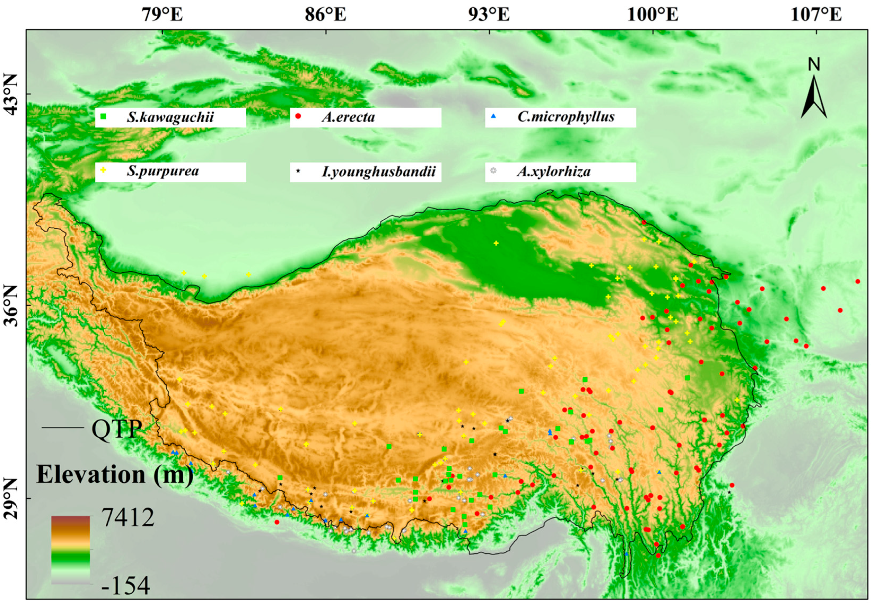 Plants 14 02424 g007 Plants 14 02424 g007