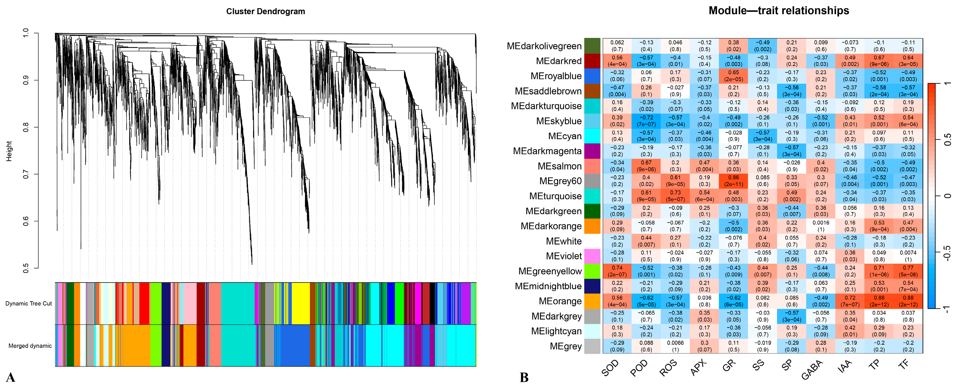 Plants 14 02432 g006 Plants 14 02432 g006