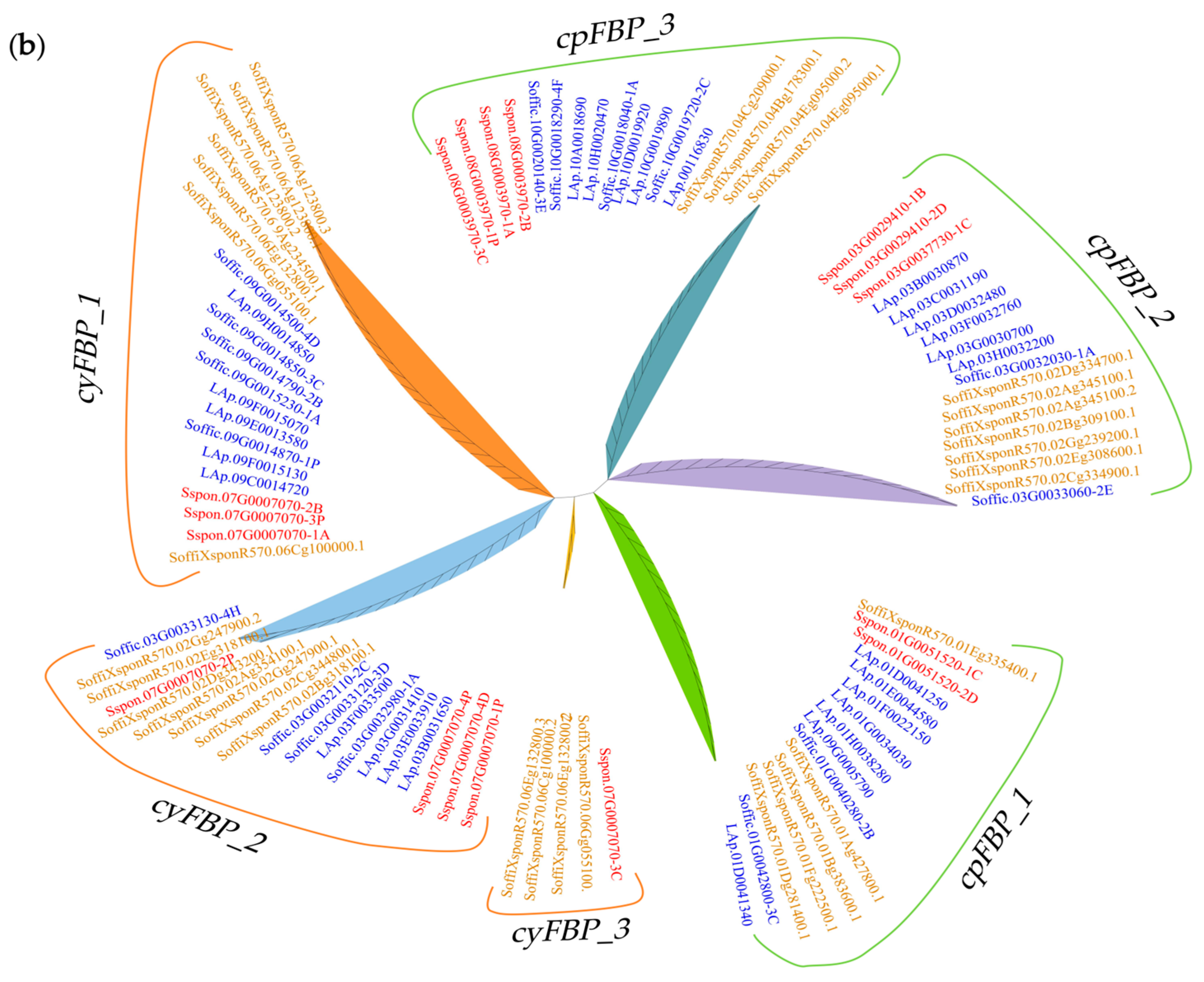 Plants 14 02433 g001b