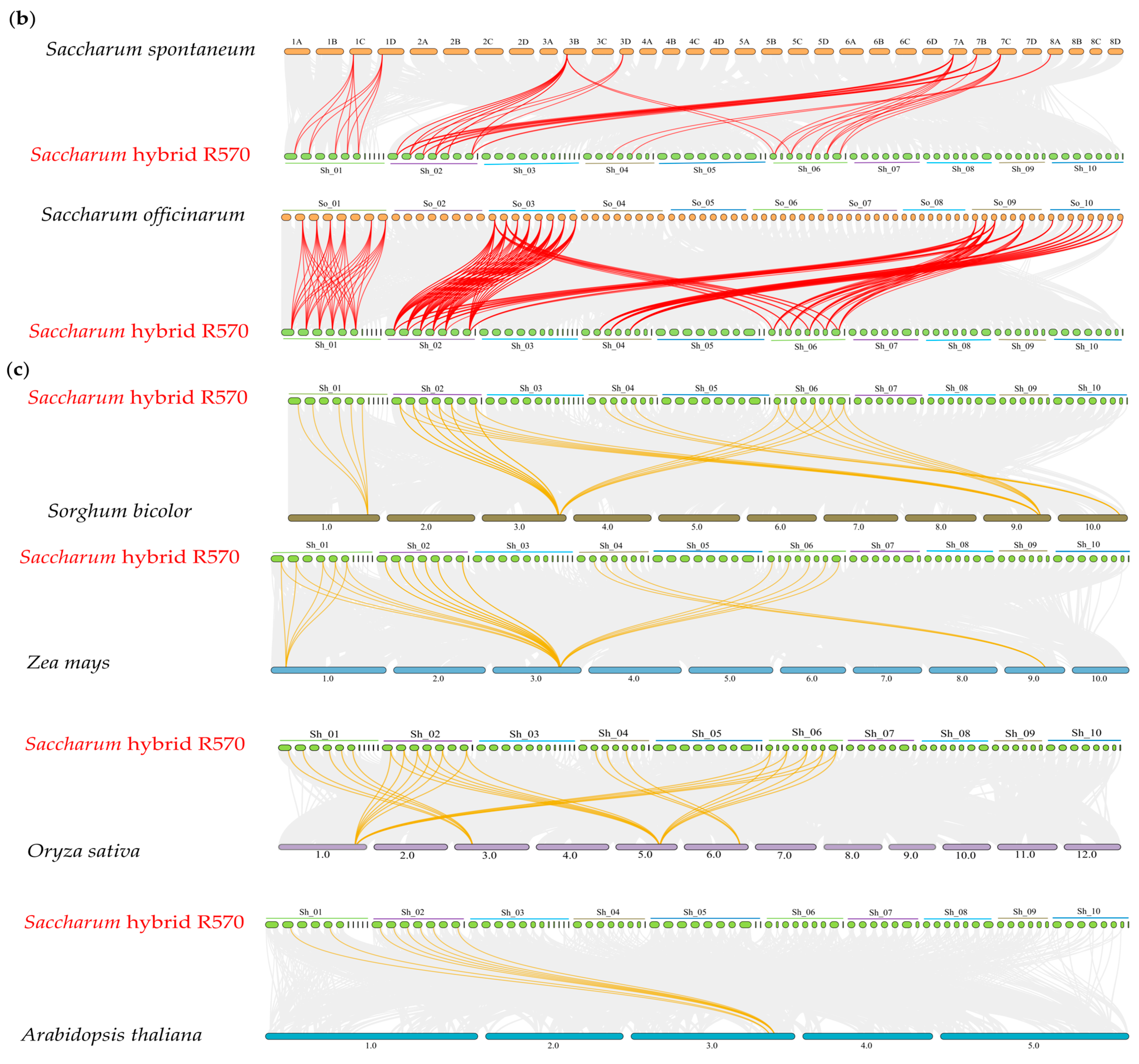 Plants 14 02433 g002b