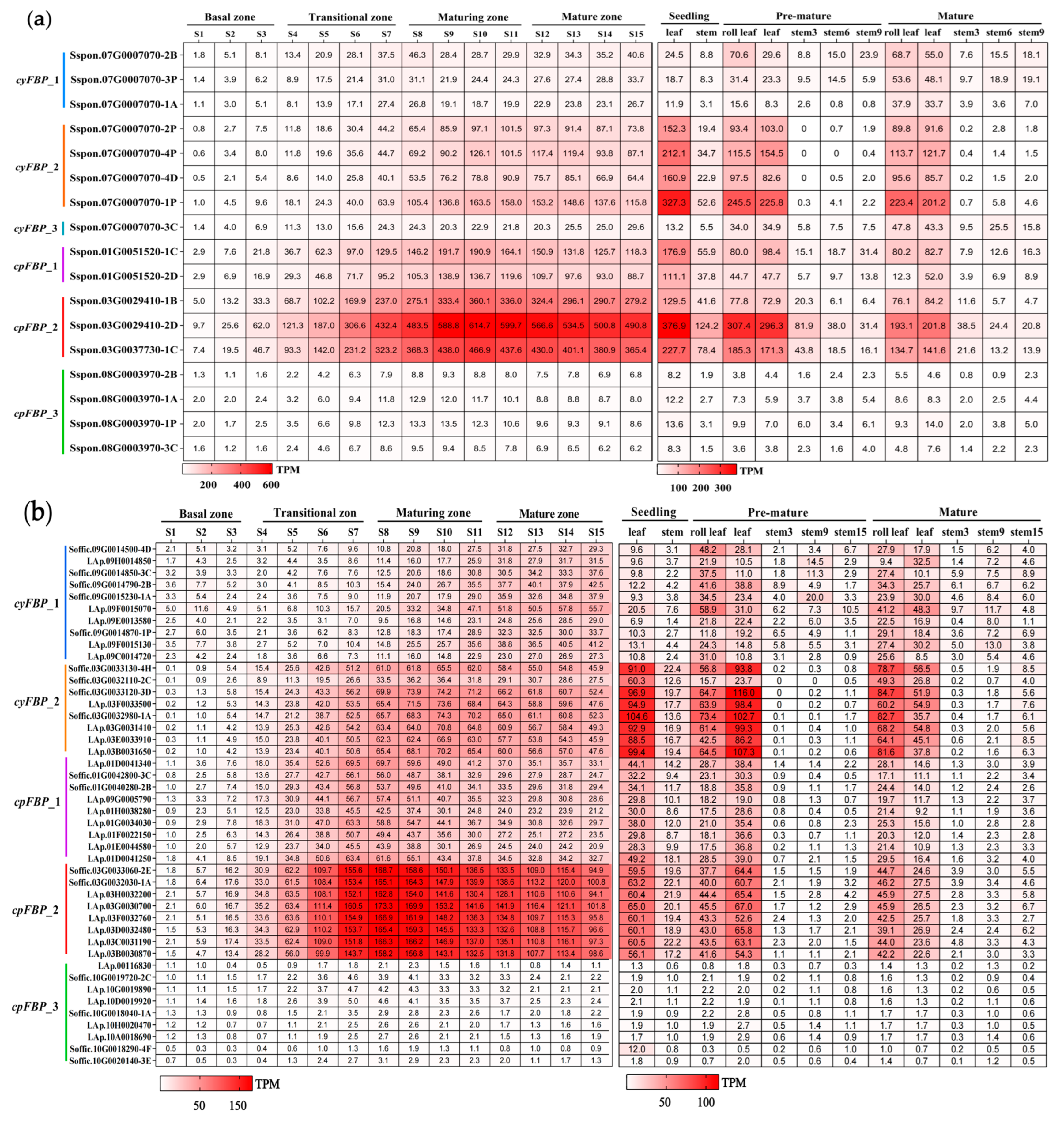 Plants 14 02433 g004