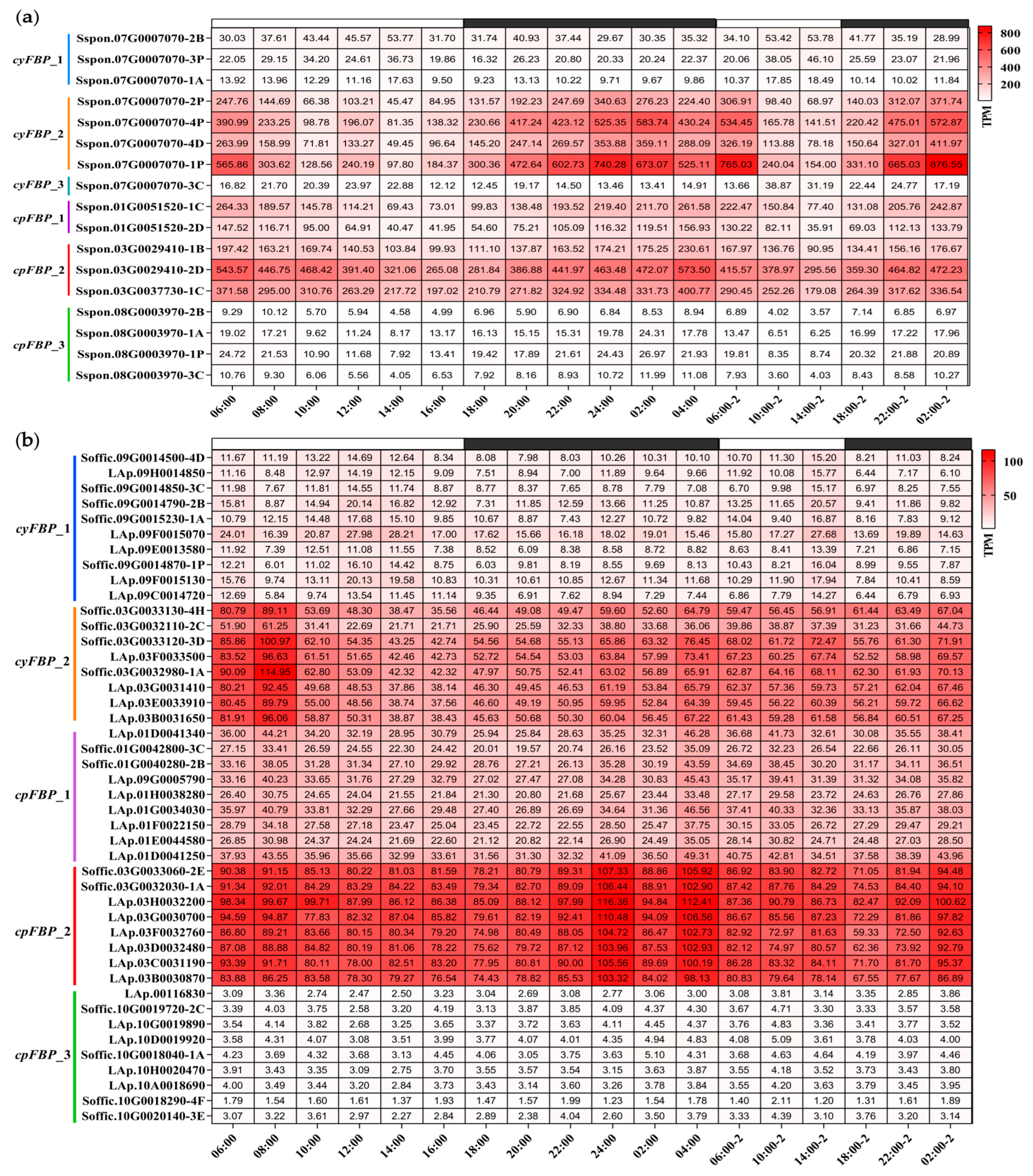 Plants 14 02433 g005a