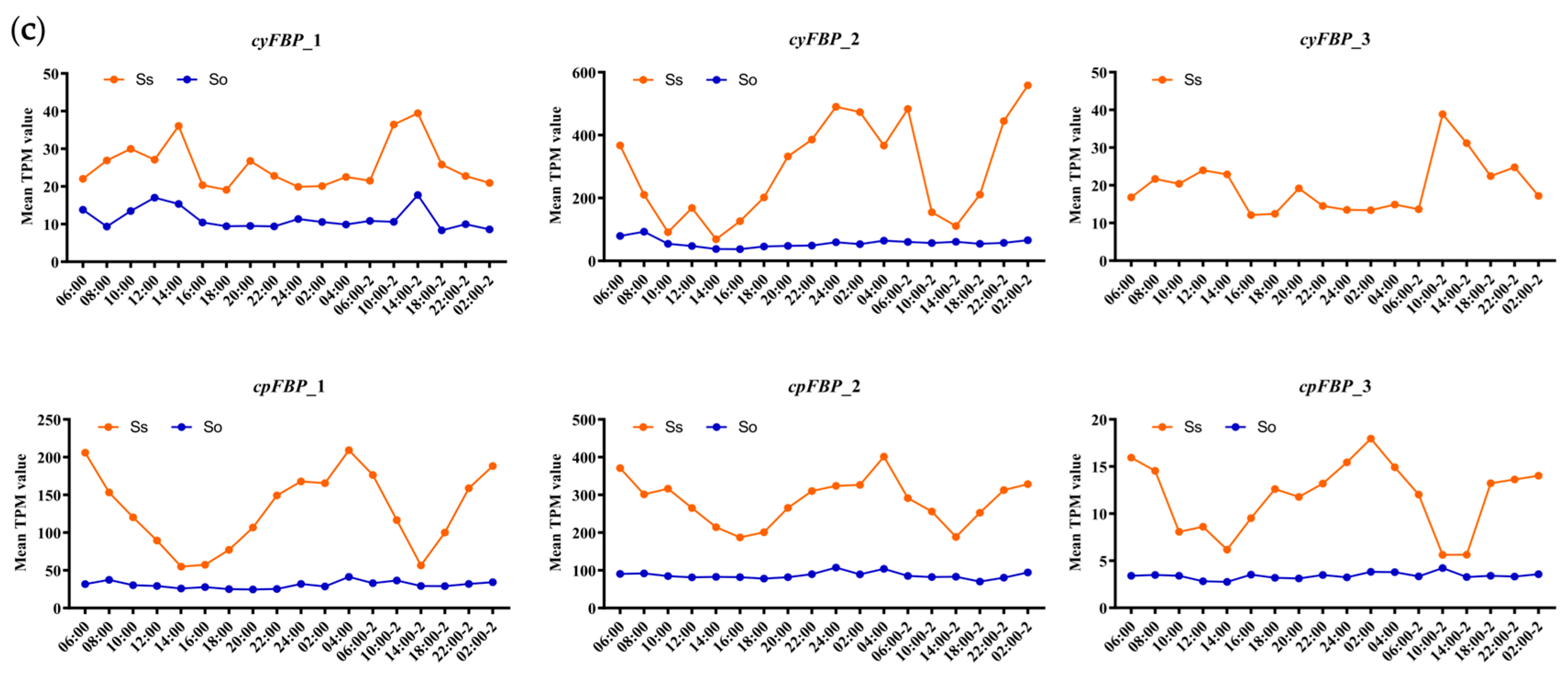 Plants 14 02433 g005b