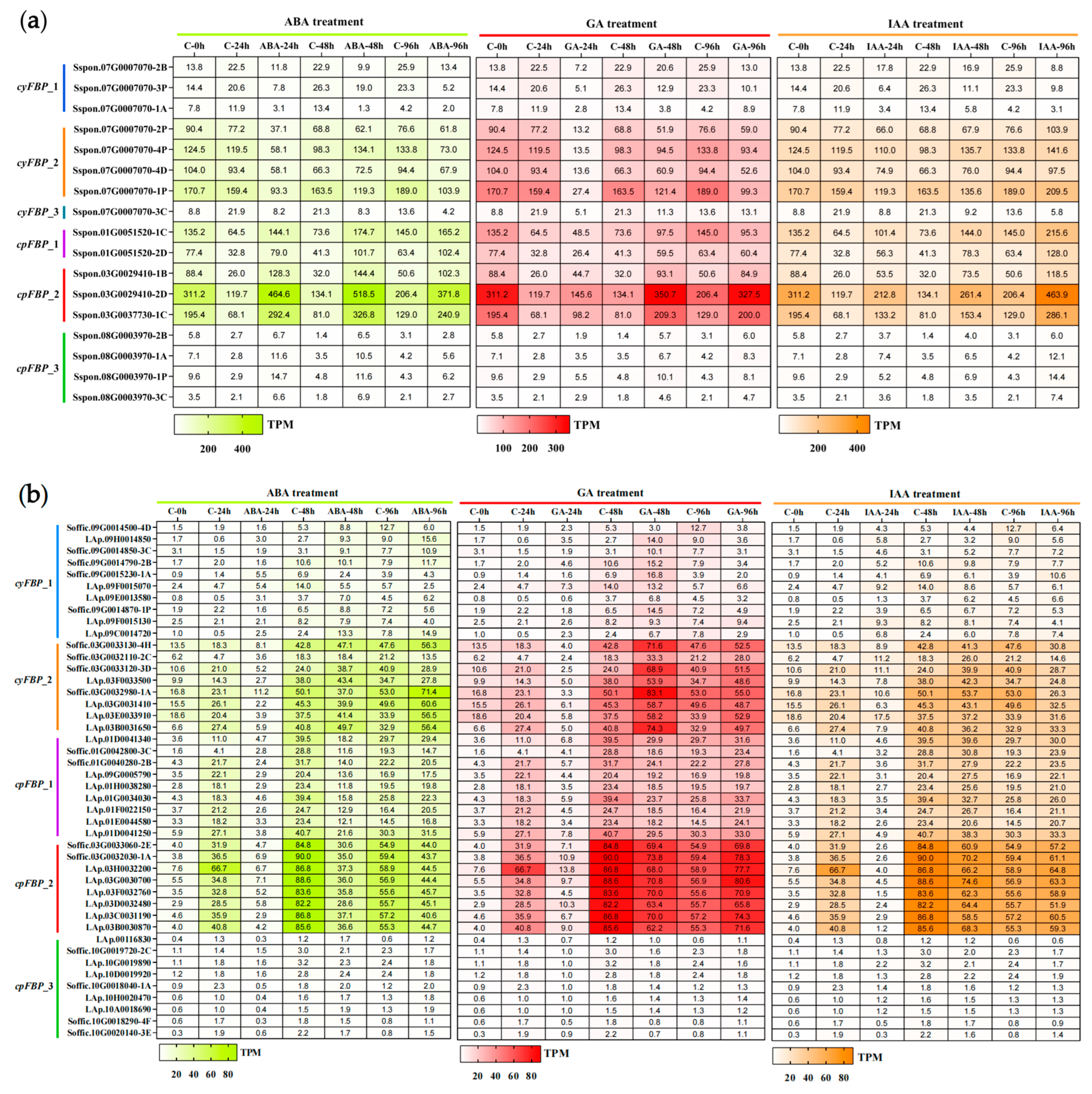 Plants 14 02433 g006