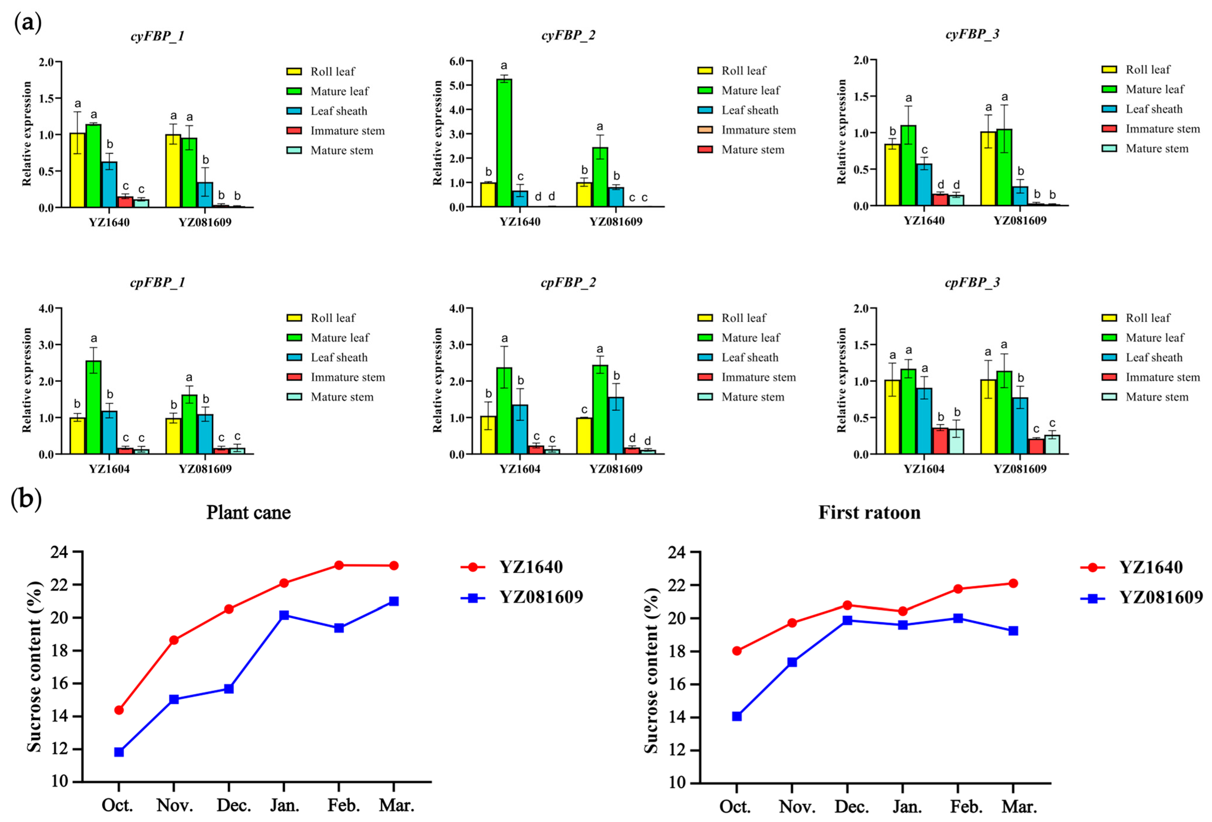Plants 14 02433 g007