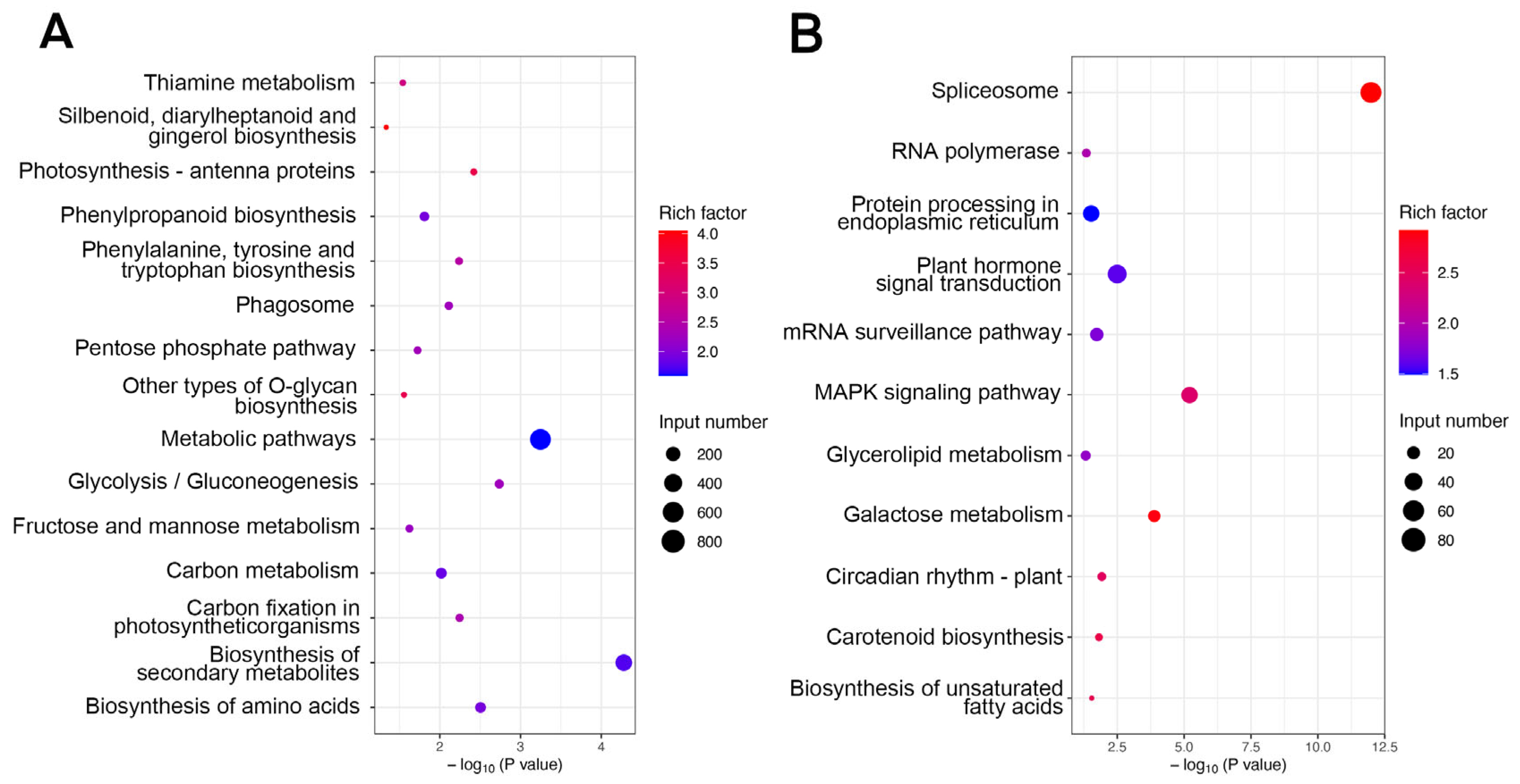 Plants 14 02436 g003 Plants 14 02436 g003