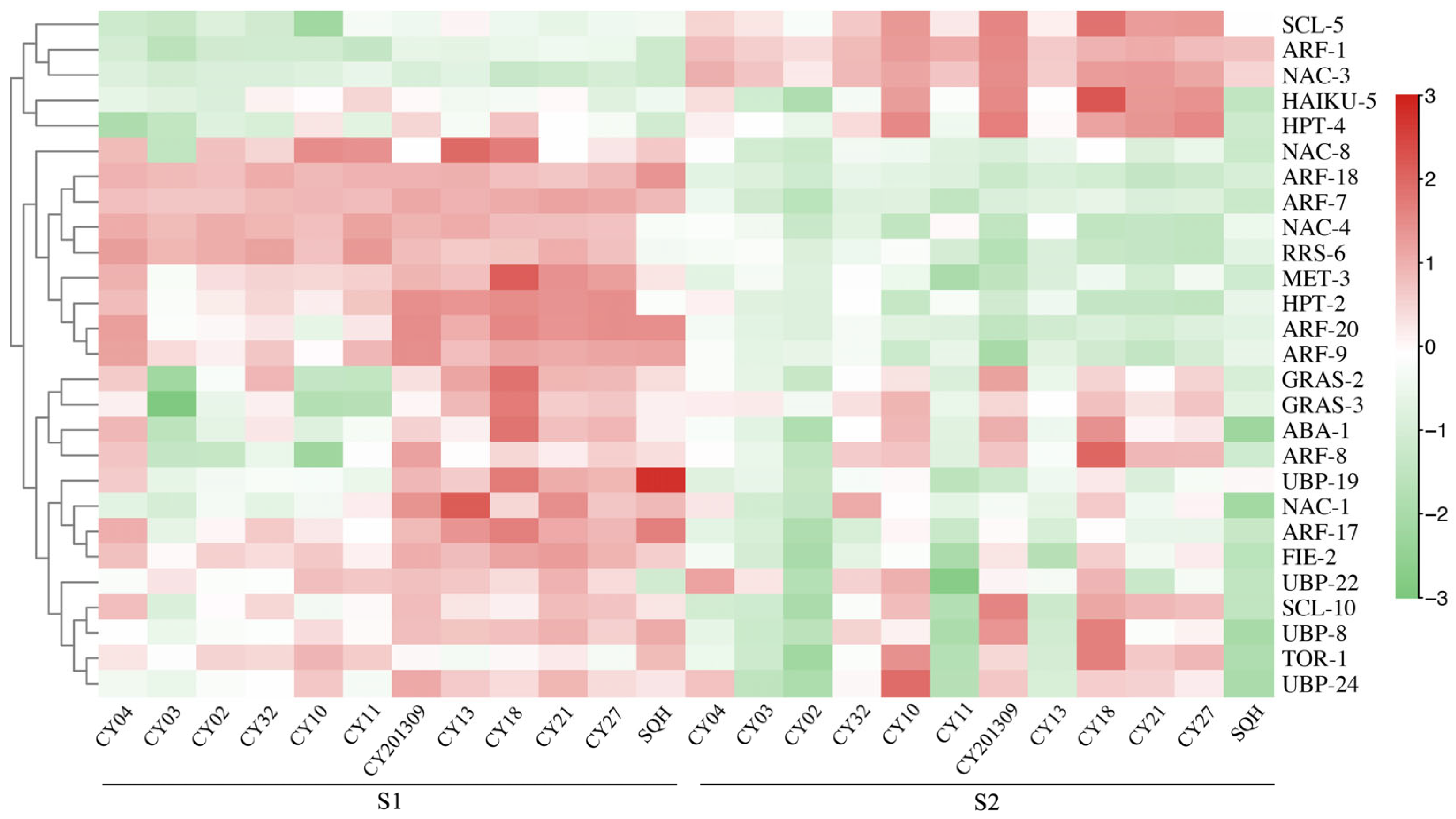 Plants 14 02436 g004 Plants 14 02436 g004