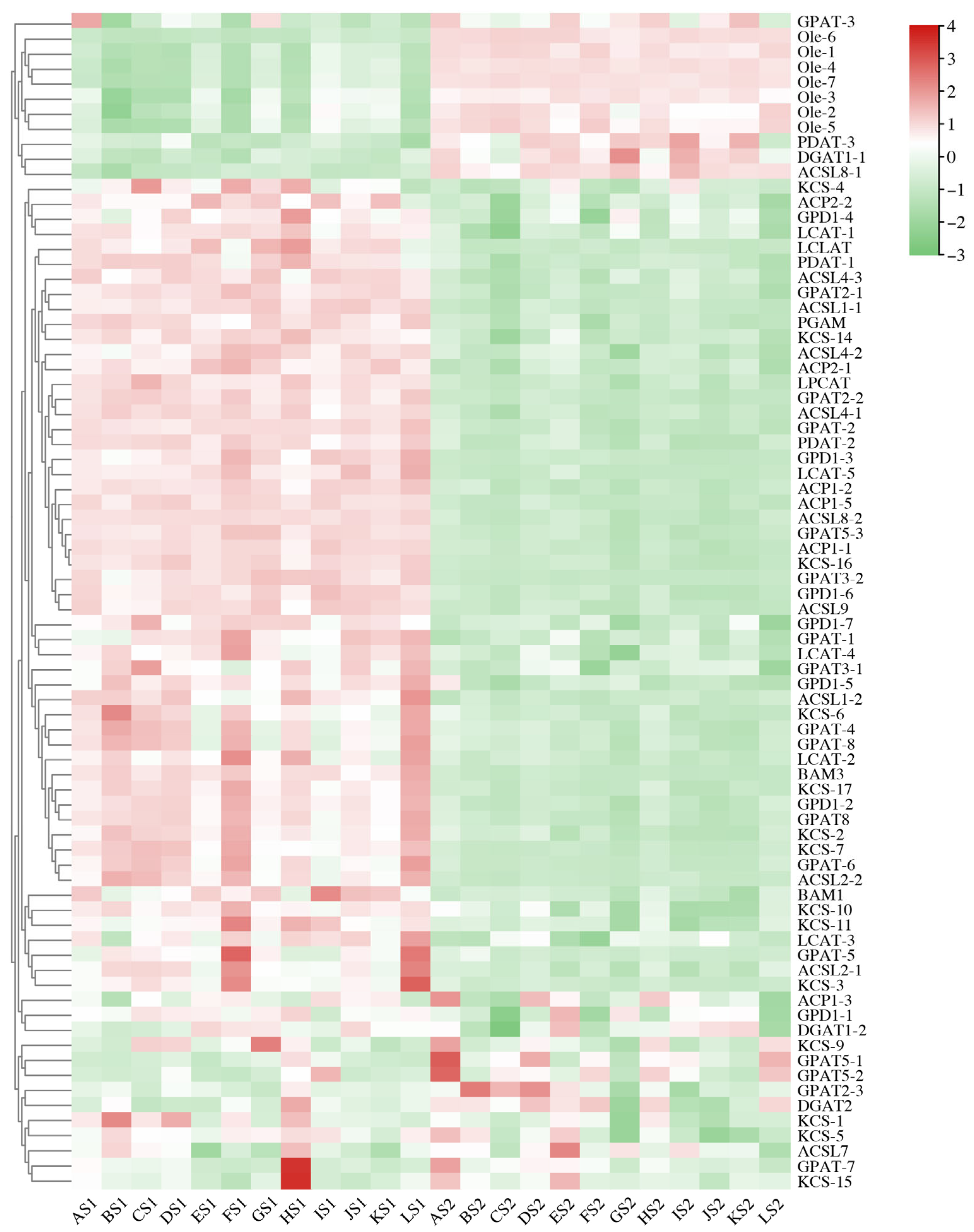 Plants 14 02436 g005 Plants 14 02436 g005