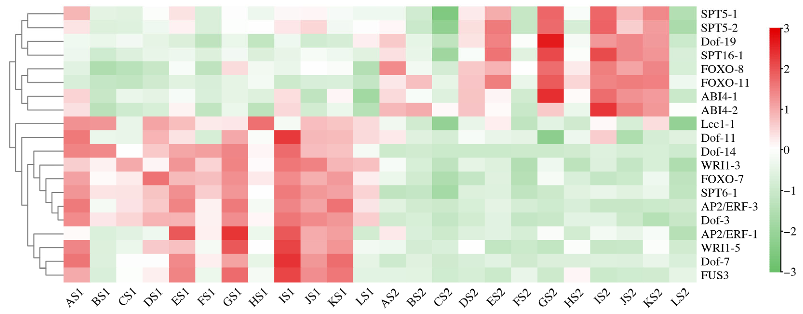 Plants 14 02436 g006 Plants 14 02436 g006