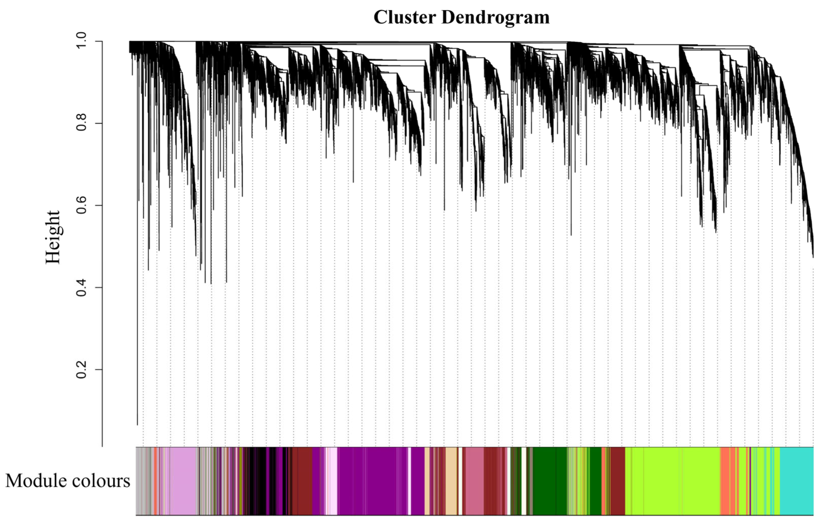 Plants 14 02436 g007 Plants 14 02436 g007