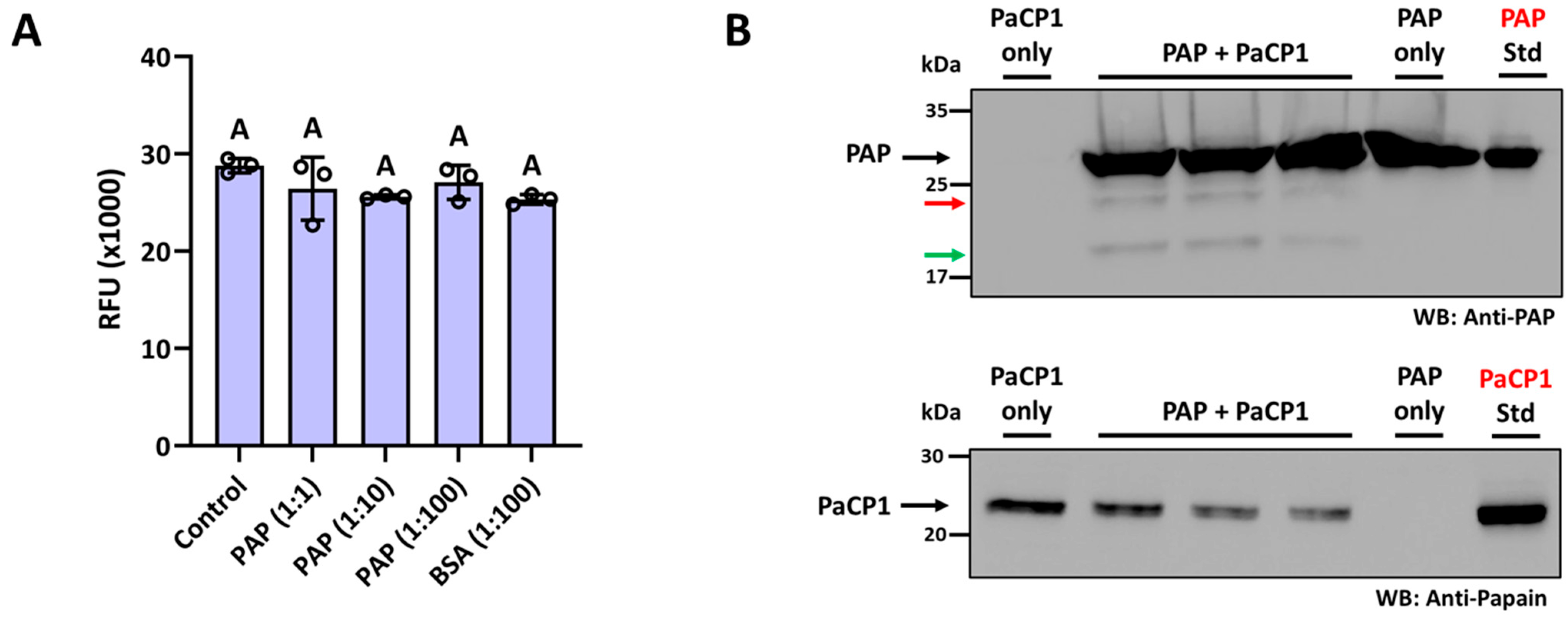 Plants 14 02441 g005