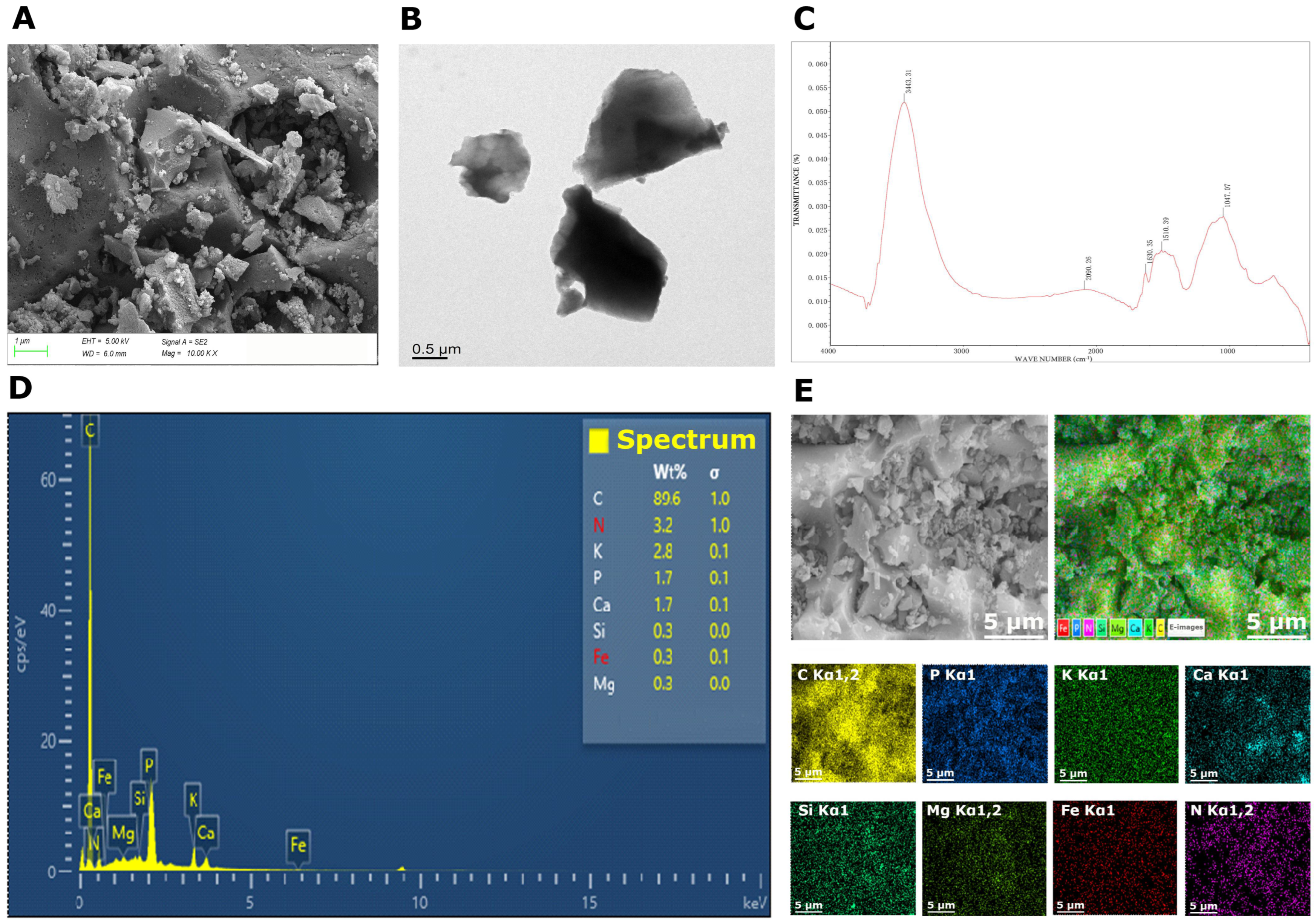 Plants 14 02453 g001 Plants 14 02453 g001