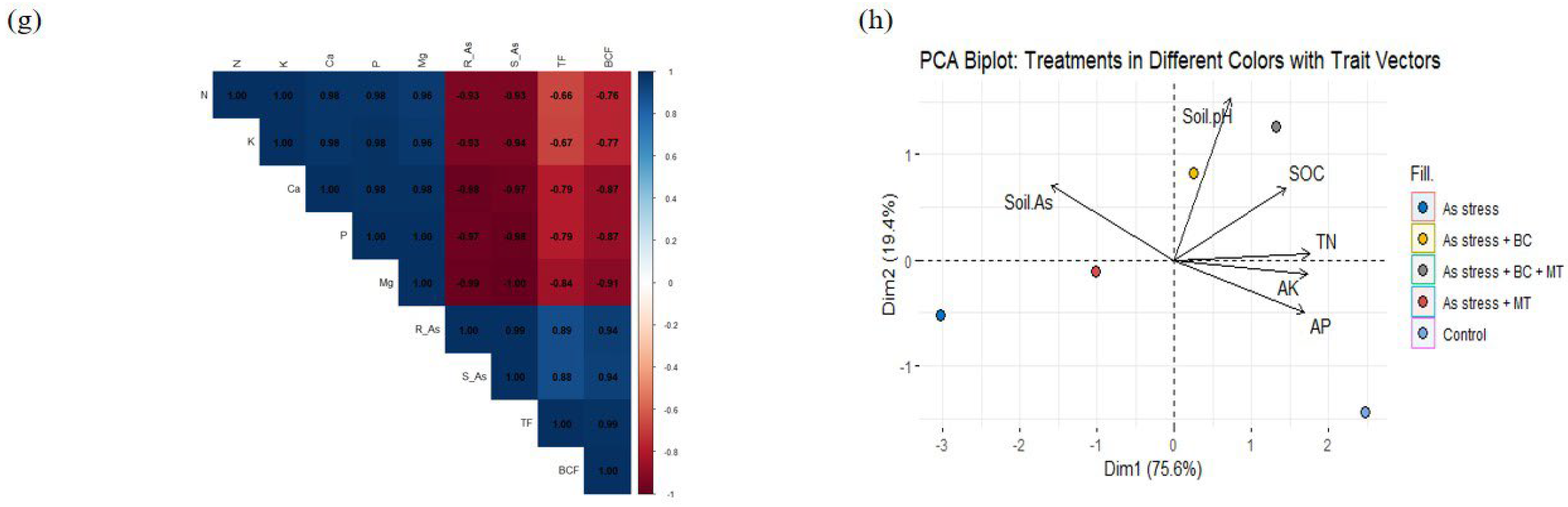 Plants 14 02453 g008b Plants 14 02453 g008b
