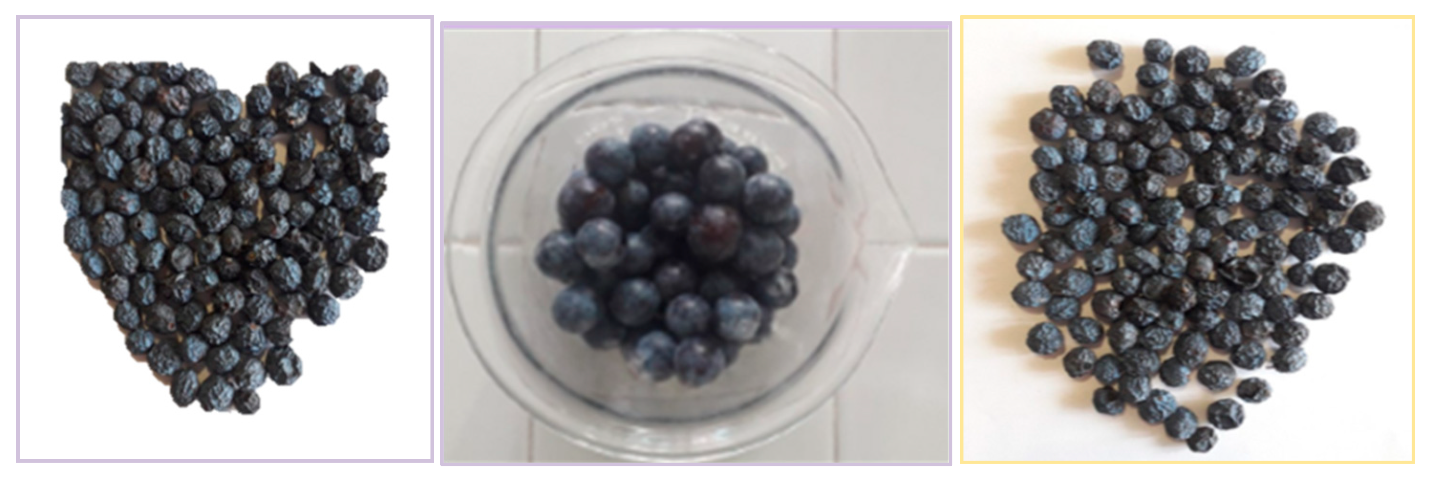 Plants 14 02454 g006 Plants 14 02454 g006