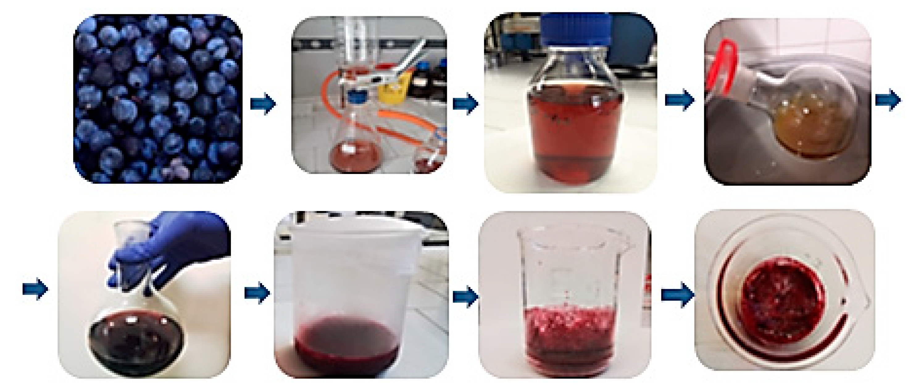 Plants 14 02454 g007 Plants 14 02454 g007