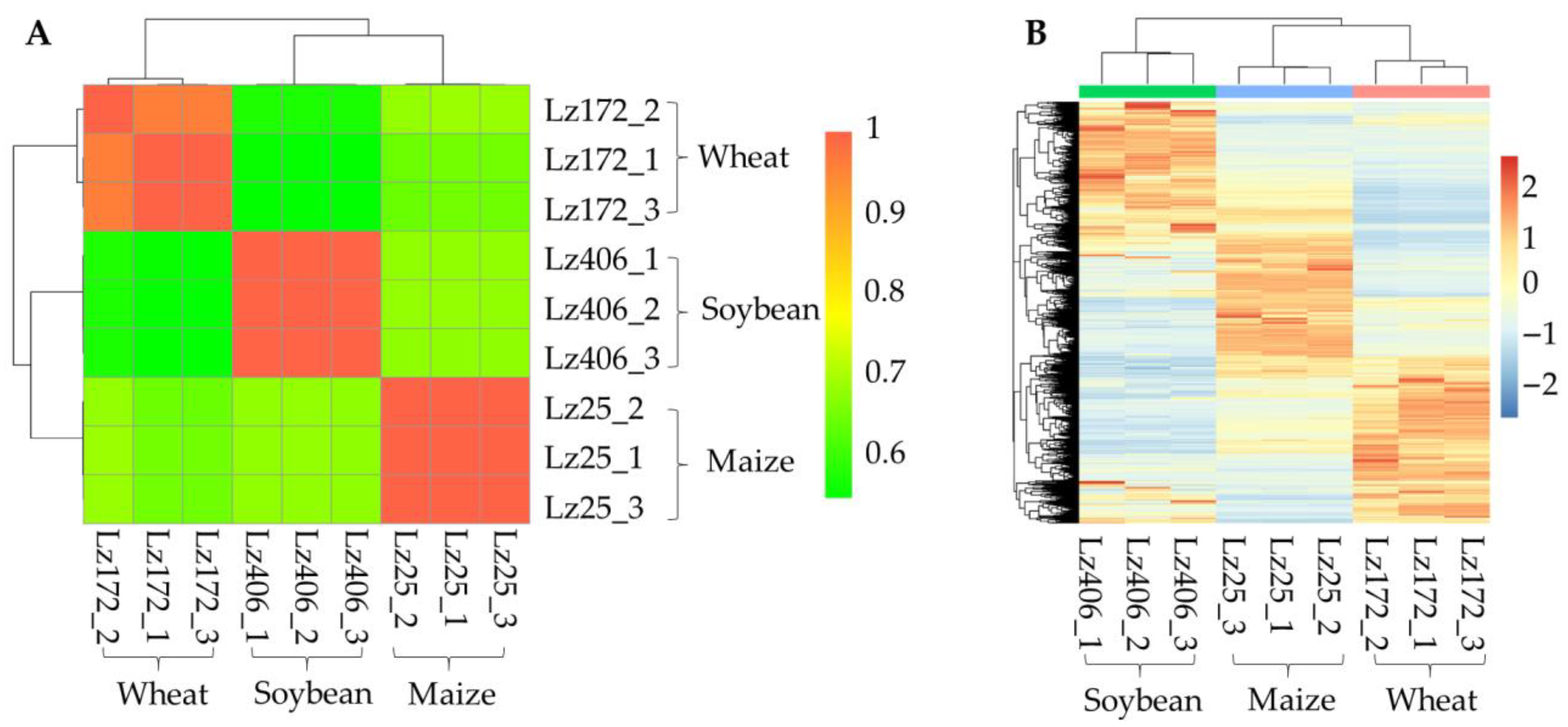 Plants 14 02458 g002 Plants 14 02458 g002