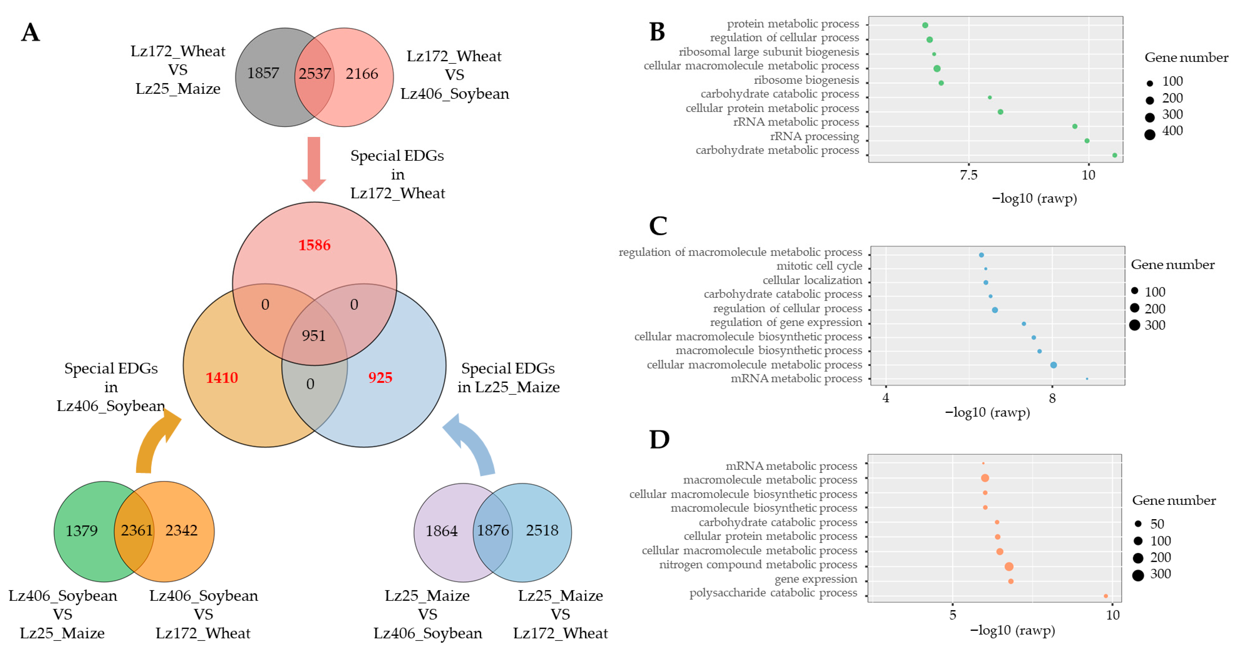 Plants 14 02458 g003 Plants 14 02458 g003