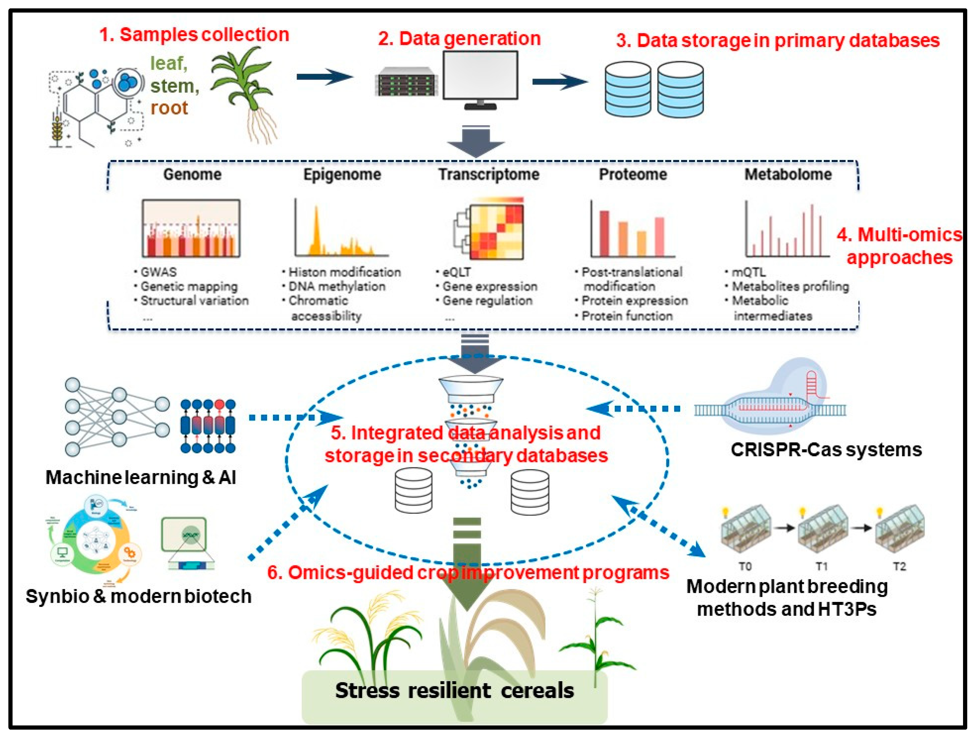 Plants 14 02459 g002