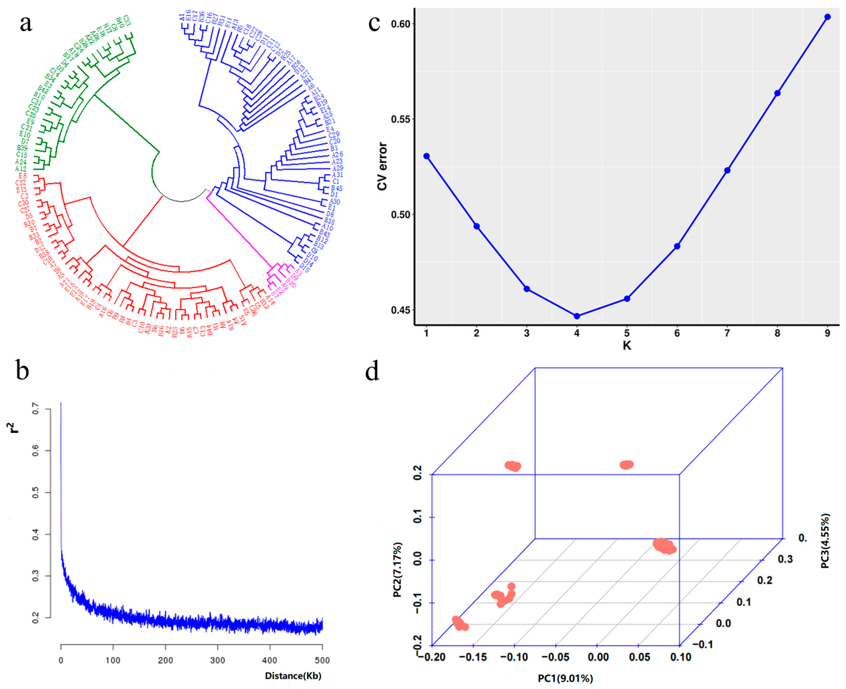 Plants 14 02460 g002
