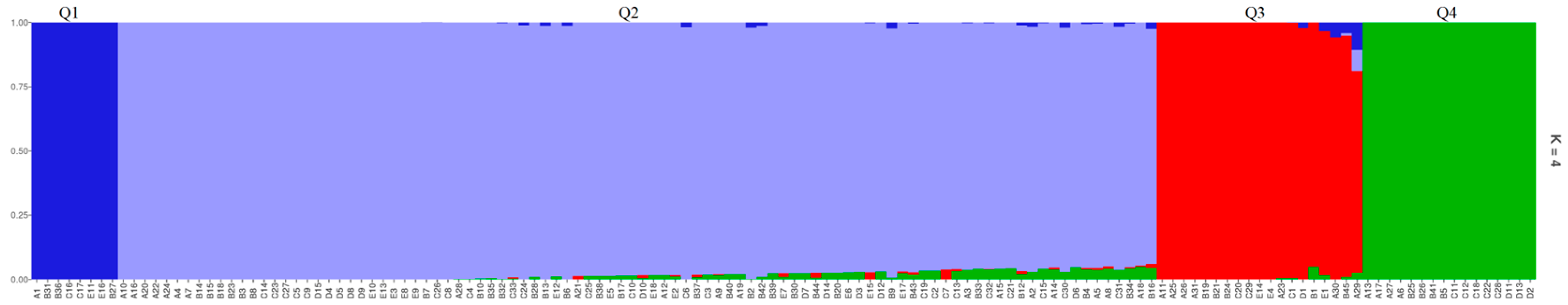 Plants 14 02460 g003