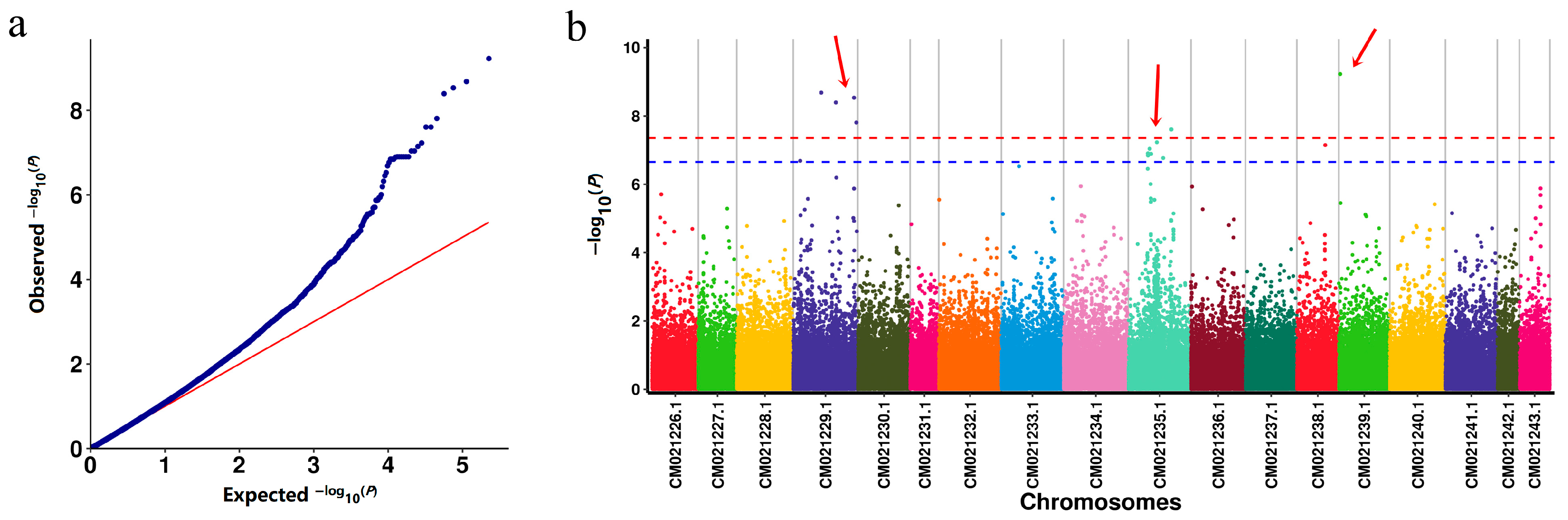 Plants 14 02460 g004
