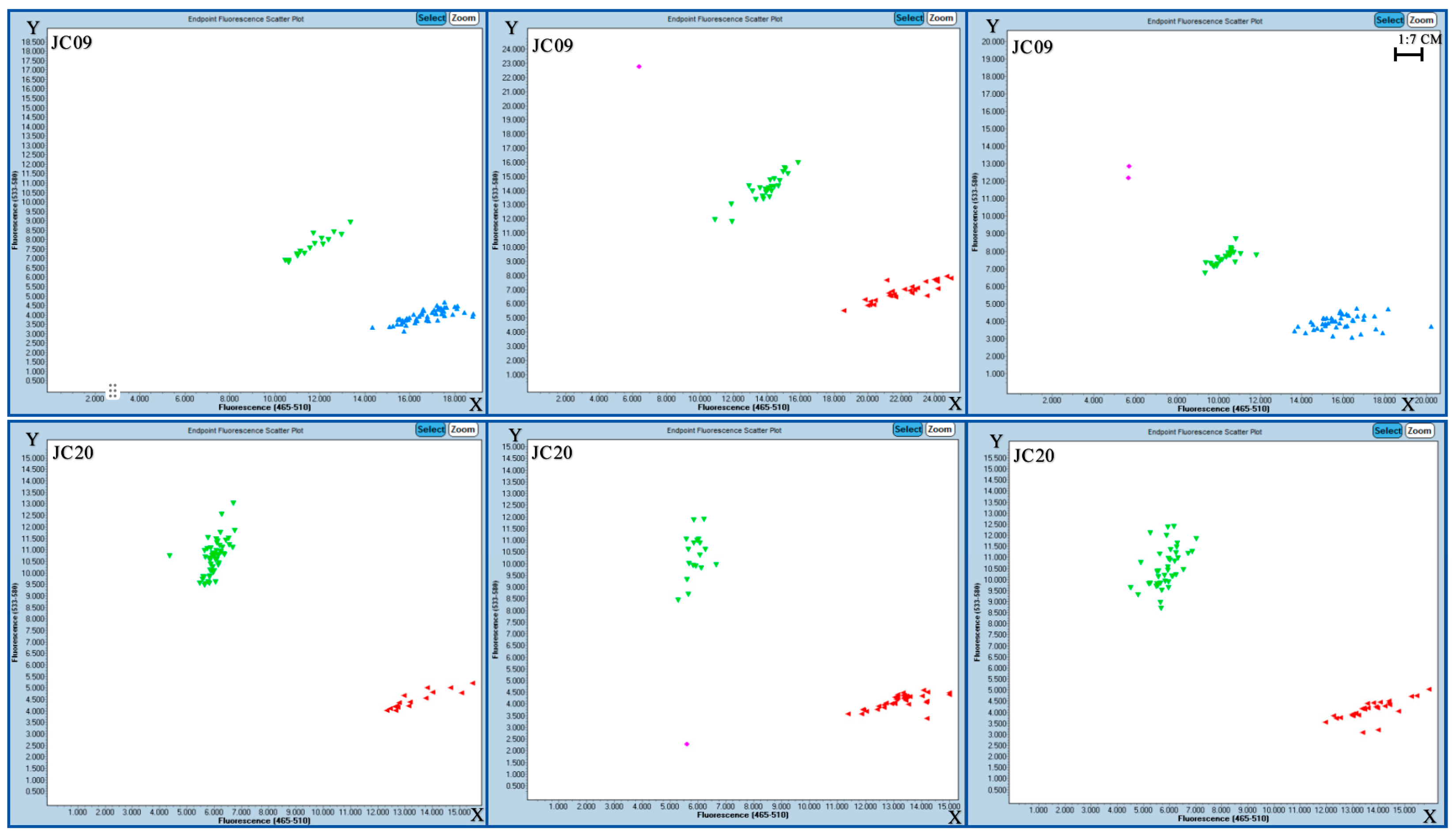 Plants 14 02460 g006