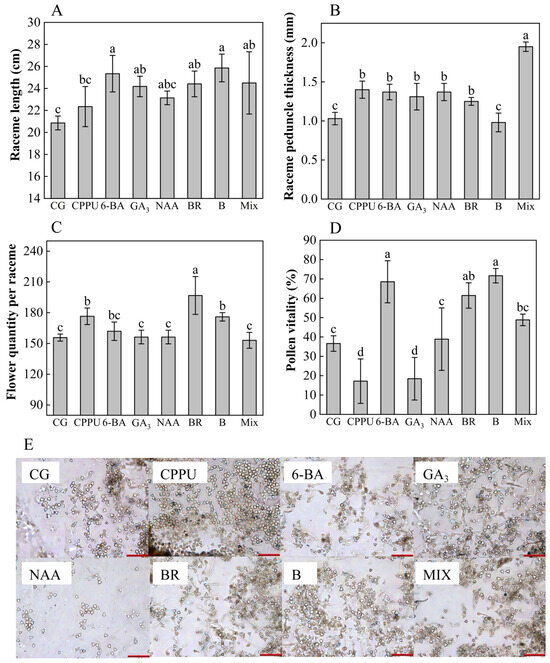 Boron Supplementation and Phytohormone Application: Effects