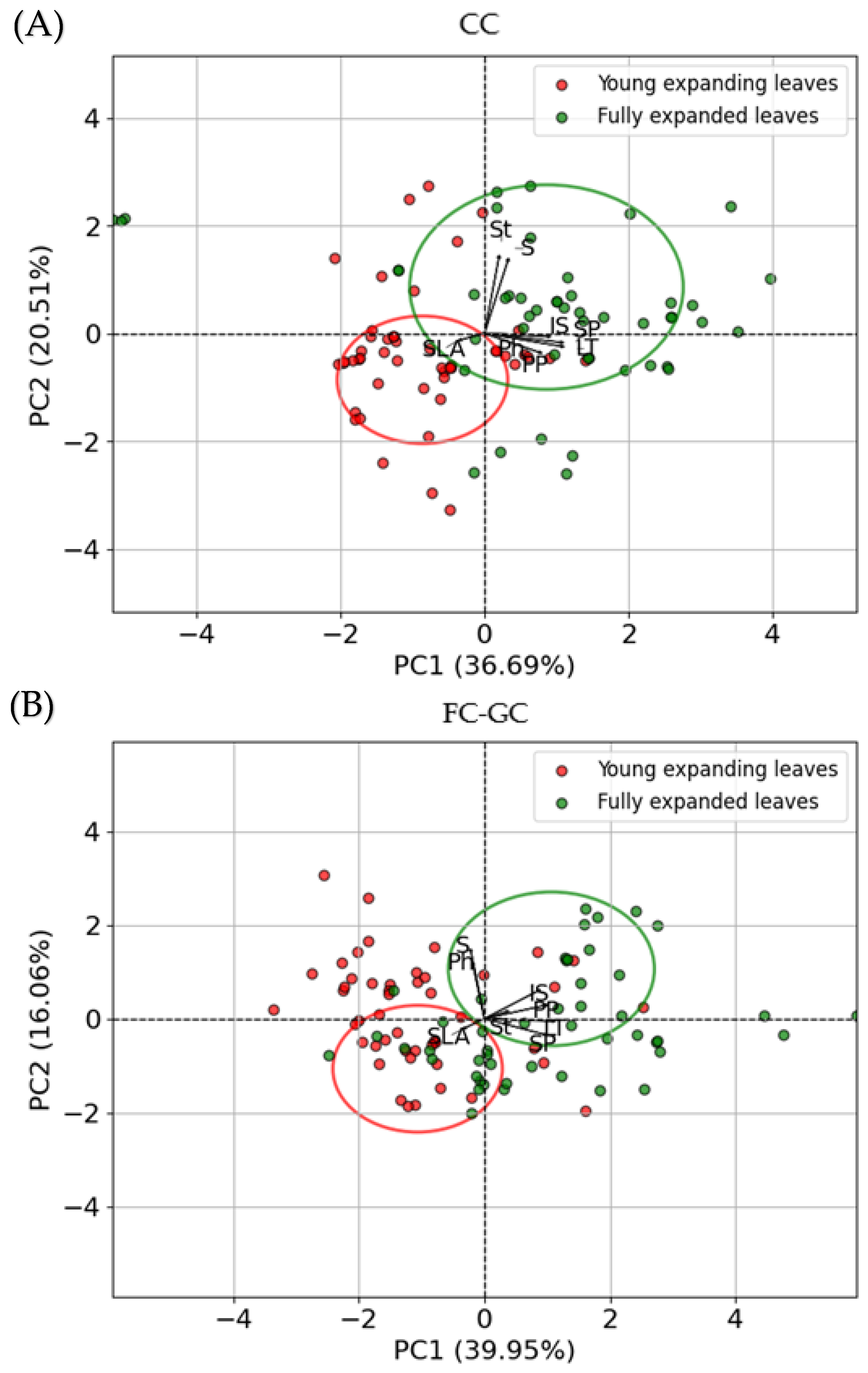 Plants 14 02463 g007