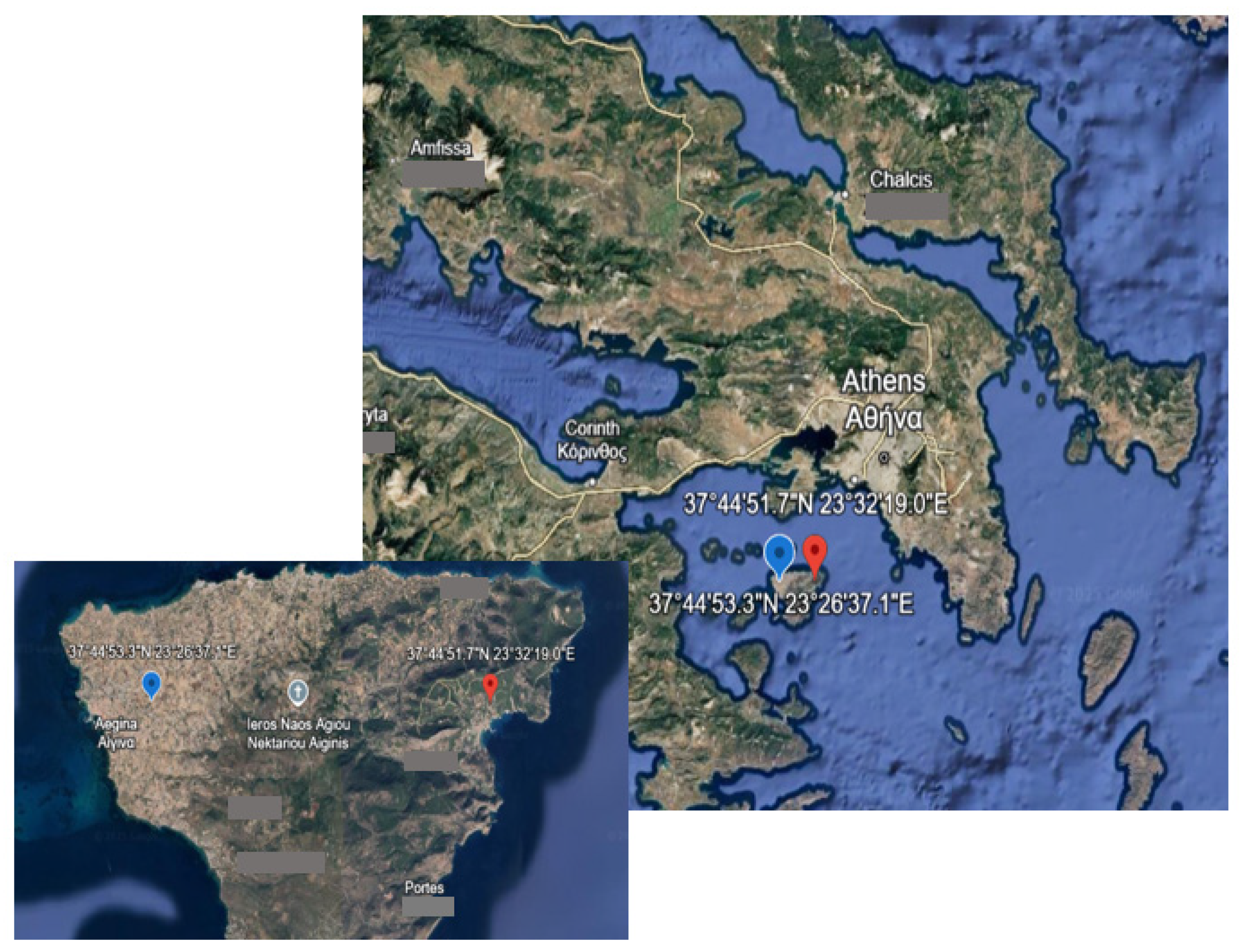 Plants 14 02463 g008