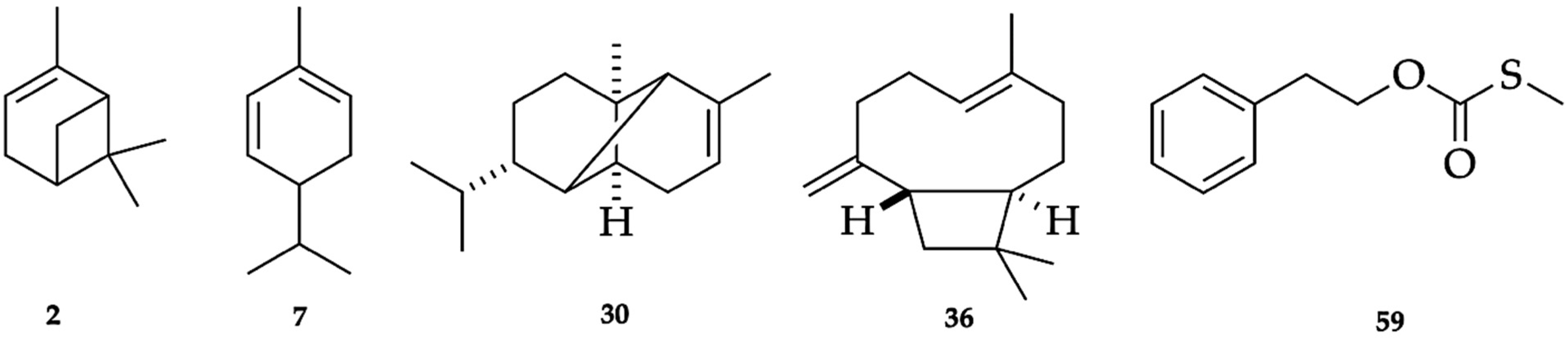 Plants 14 02474 g004