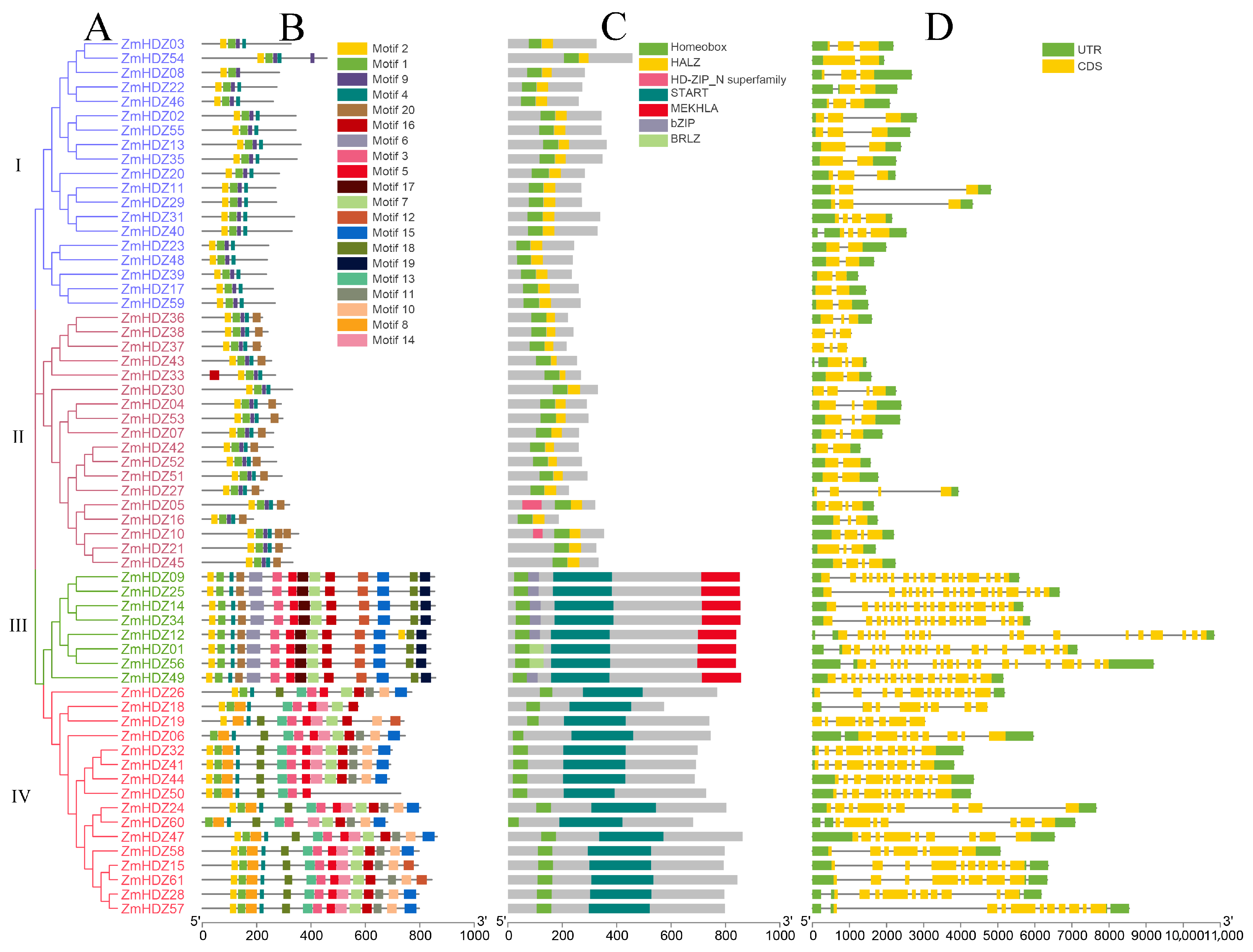 Plants 14 02477 g001 Plants 14 02477 g001