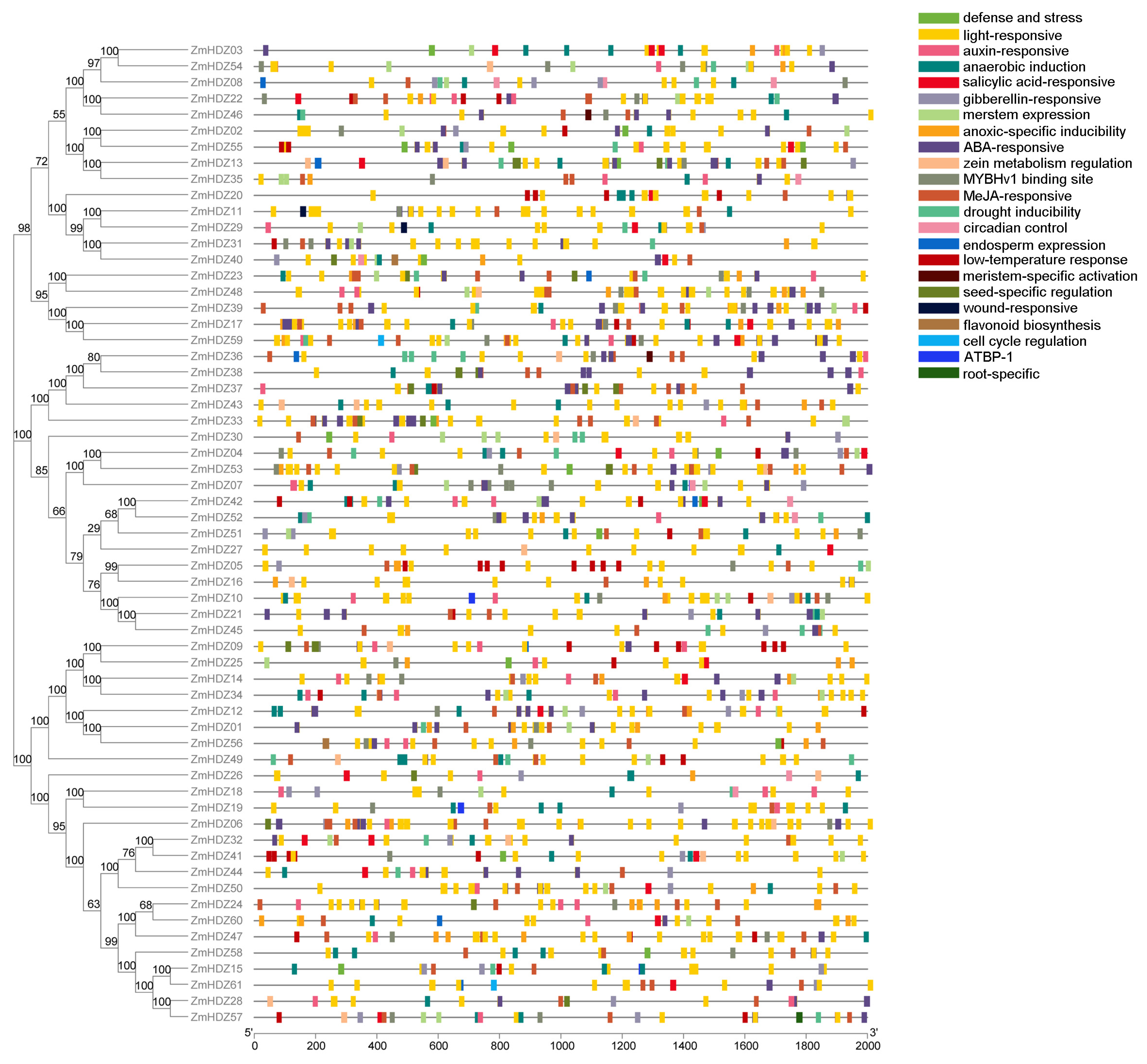 Plants 14 02477 g003 Plants 14 02477 g003