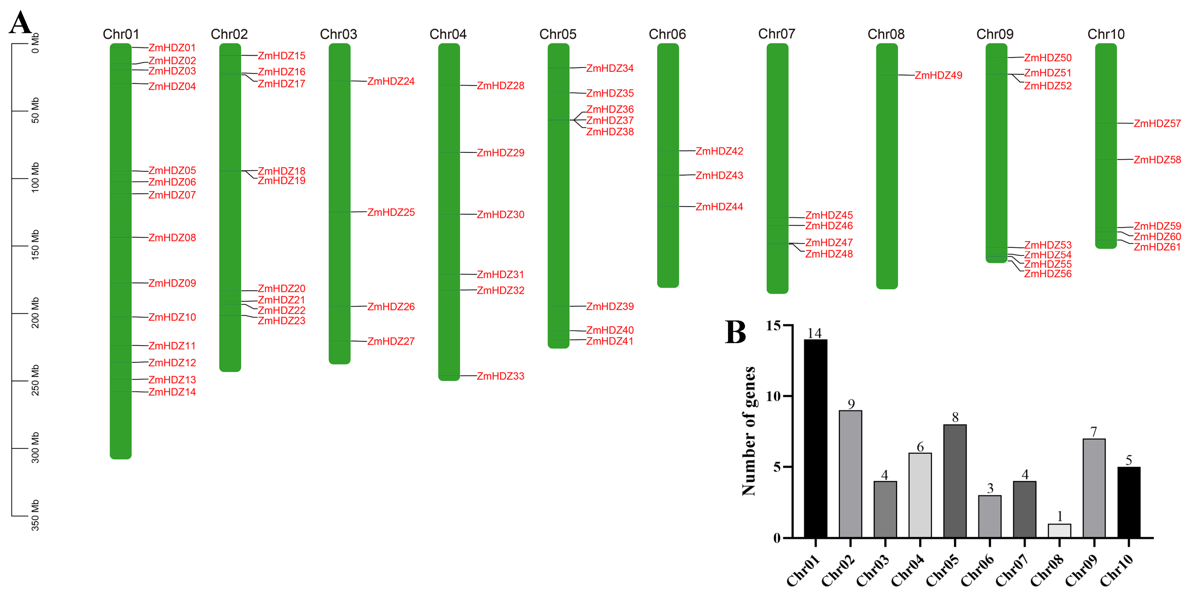 Plants 14 02477 g004 Plants 14 02477 g004