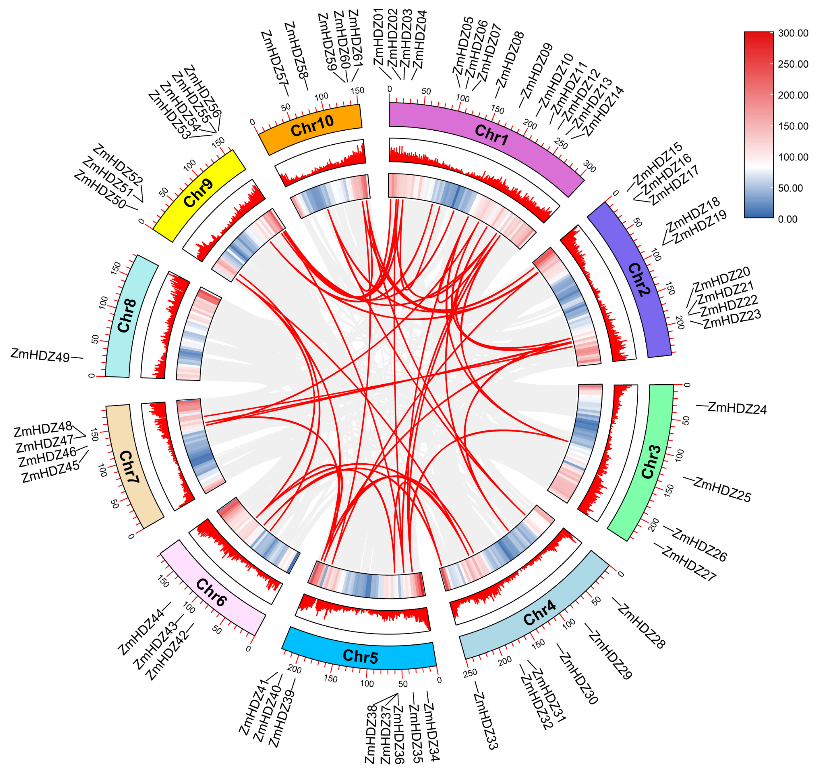 Plants 14 02477 g005 Plants 14 02477 g005