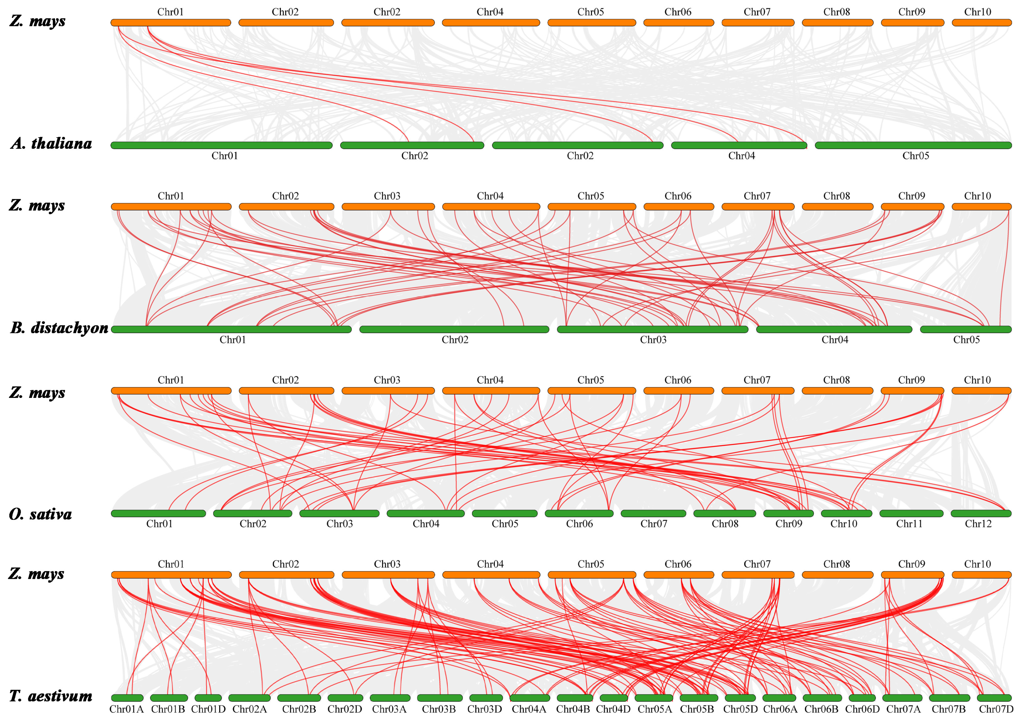Plants 14 02477 g006 Plants 14 02477 g006