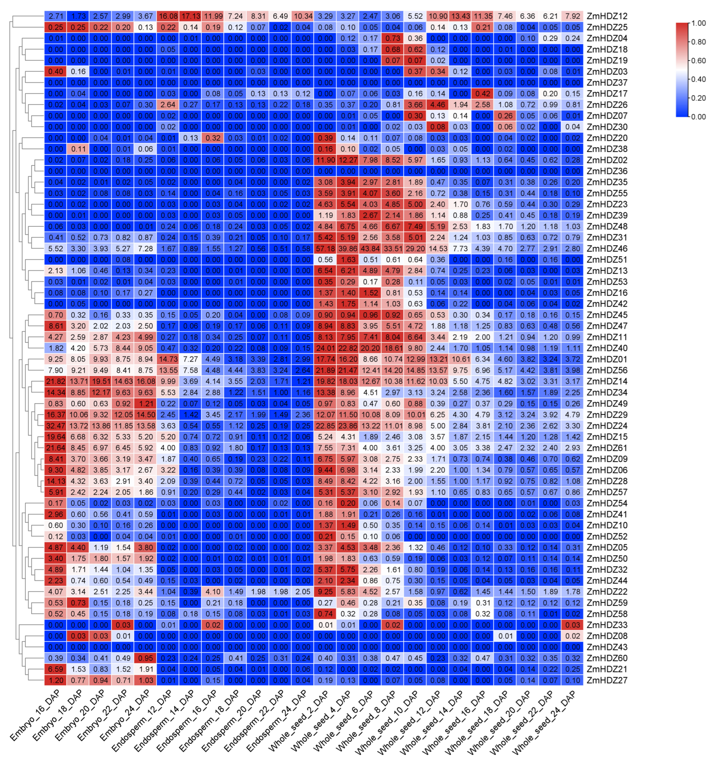 Plants 14 02477 g007 Plants 14 02477 g007
