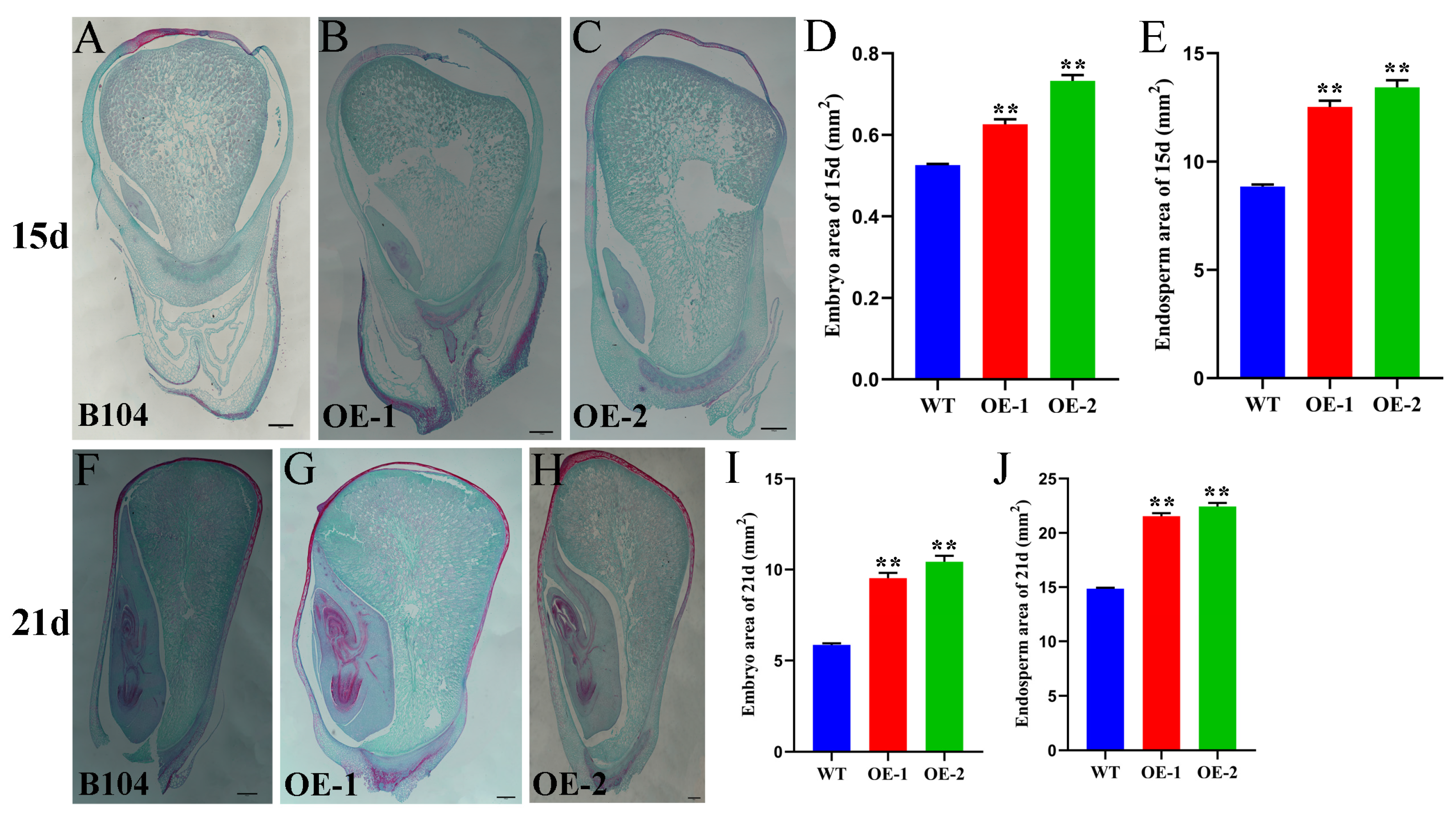 Plants 14 02477 g009 Plants 14 02477 g009