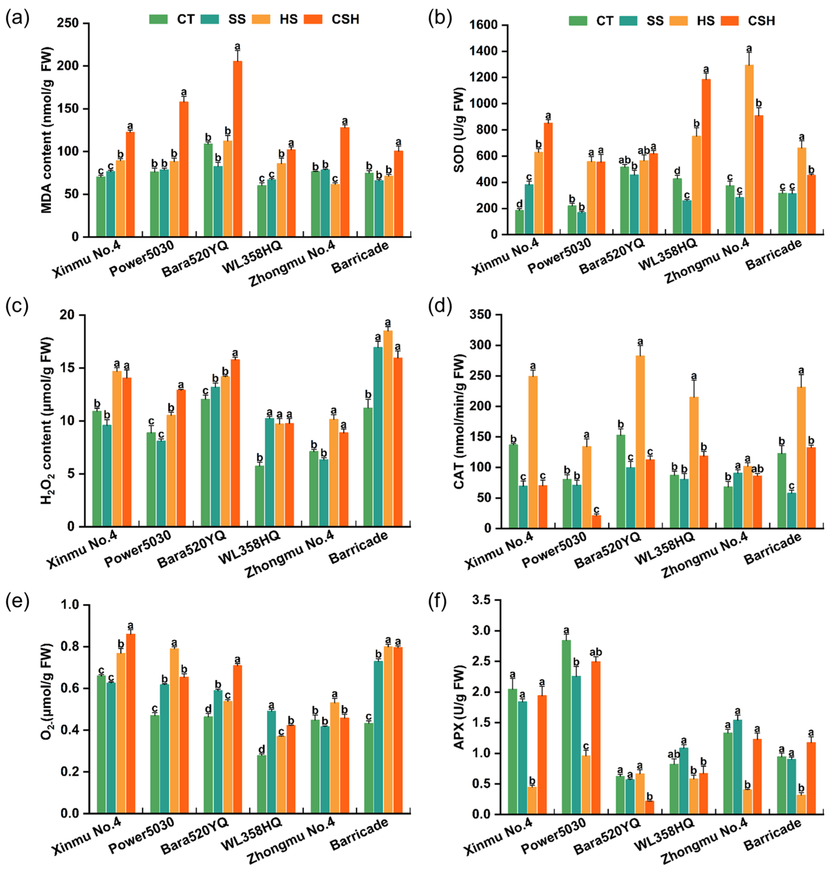 Plants 14 02479 g006