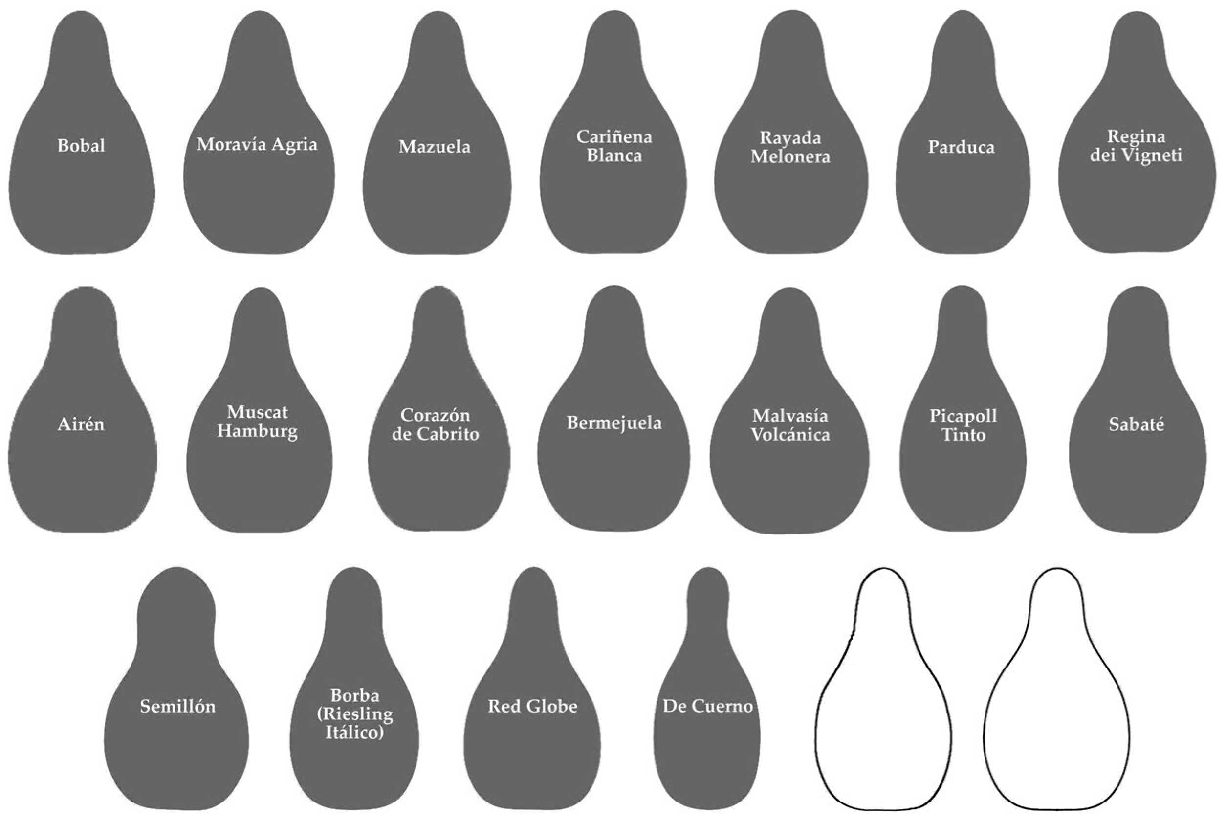 Plants 14 02481 g004 Plants 14 02481 g004