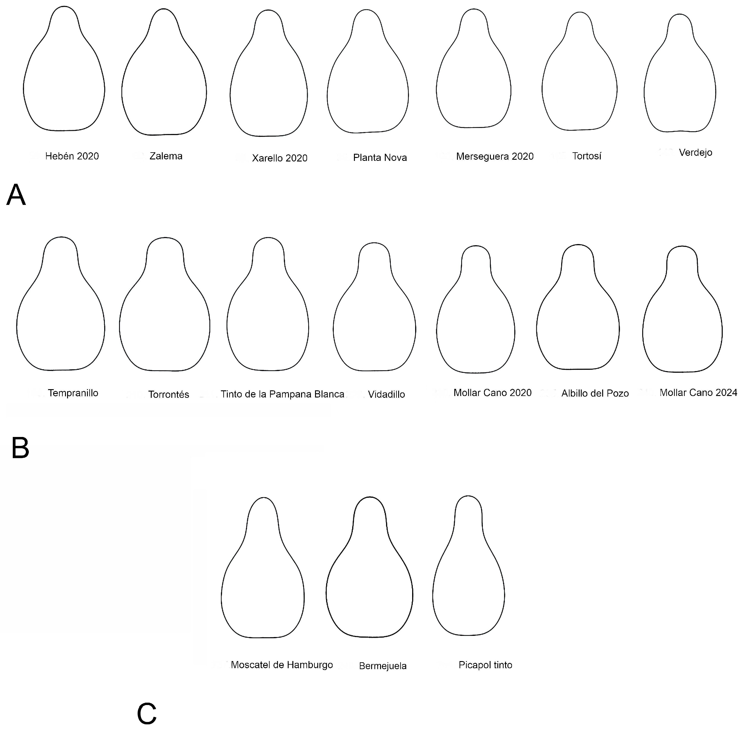 Plants 14 02481 g007 Plants 14 02481 g007